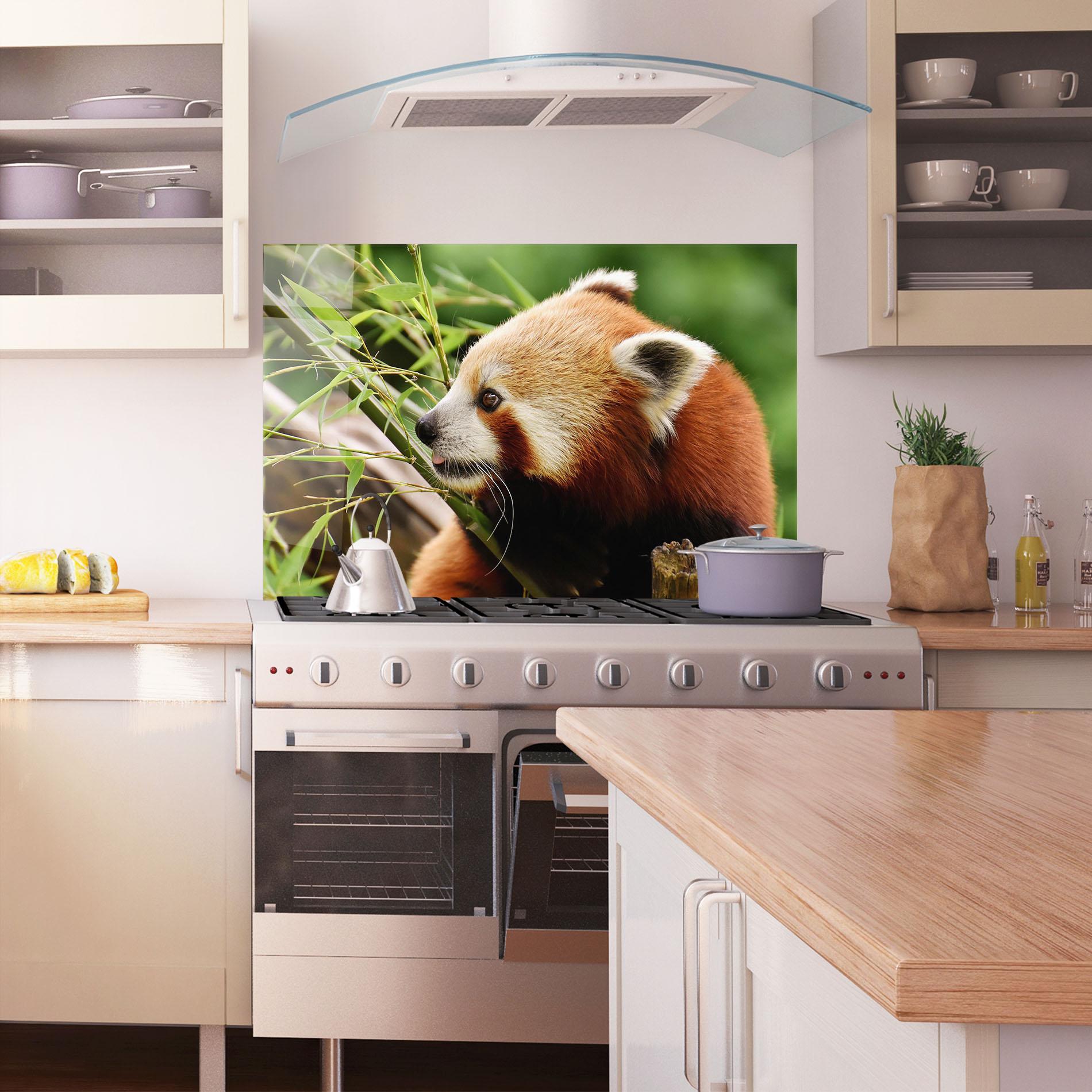 Küchenrückwand Glas Cute Red Panda mockup 1