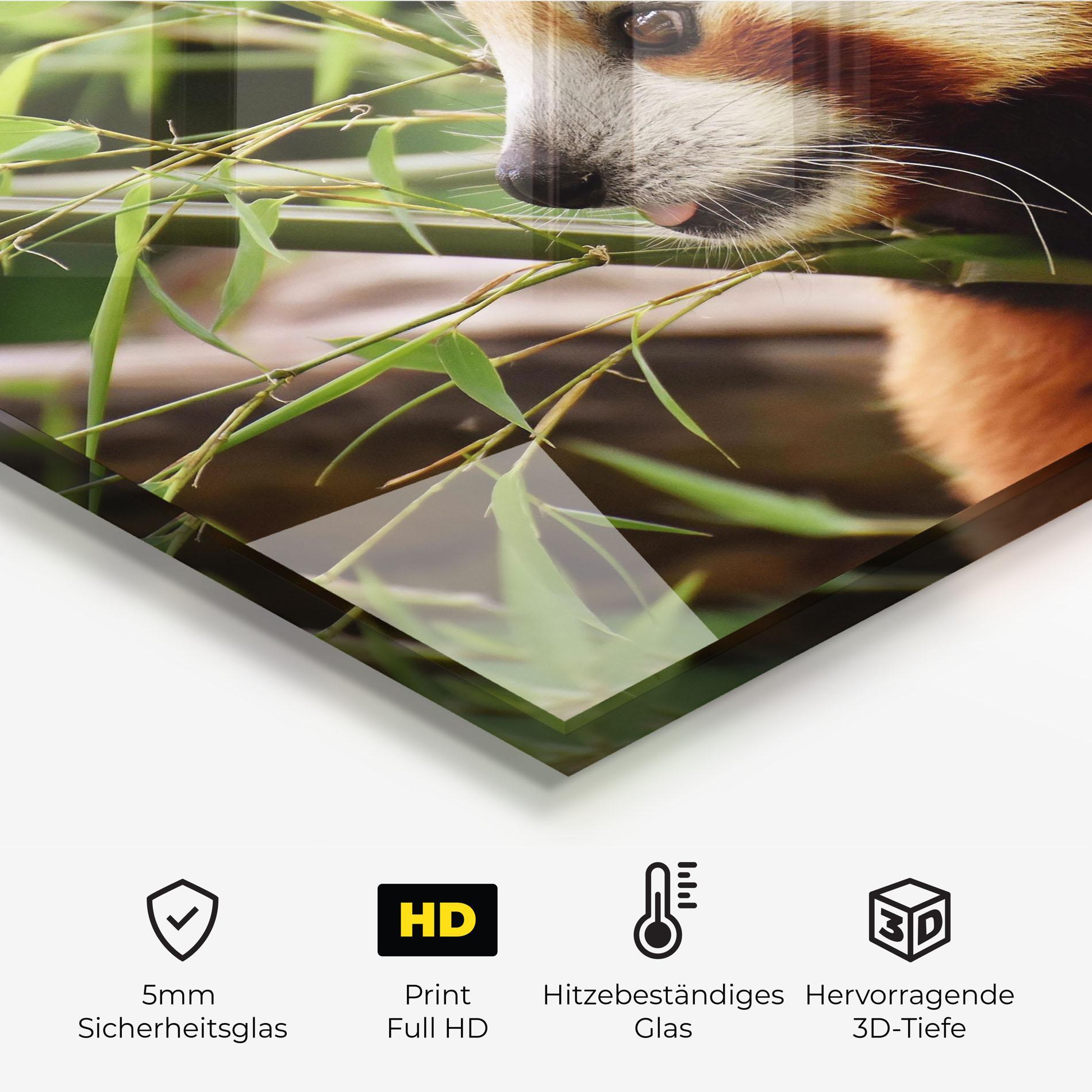 Küchenrückwand Glas Cute Red Panda mockup 2