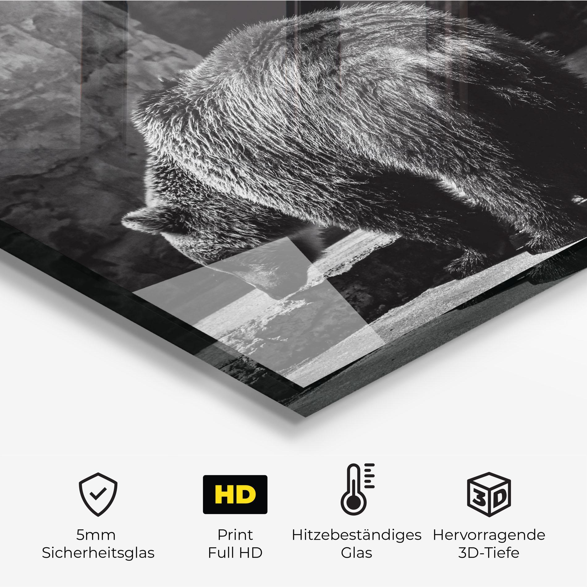 Küchenrückwand Glas Grey Bear mockup 2