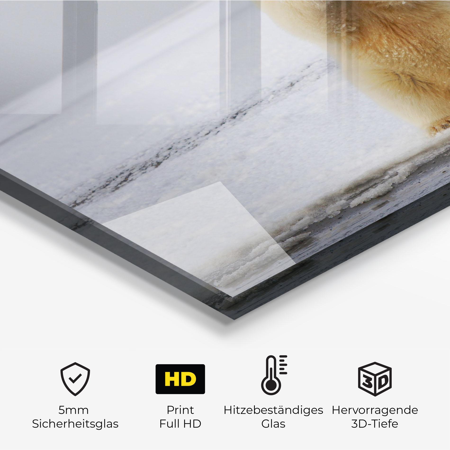 Küchenrückwand Glas Icebear Praying mockup 2