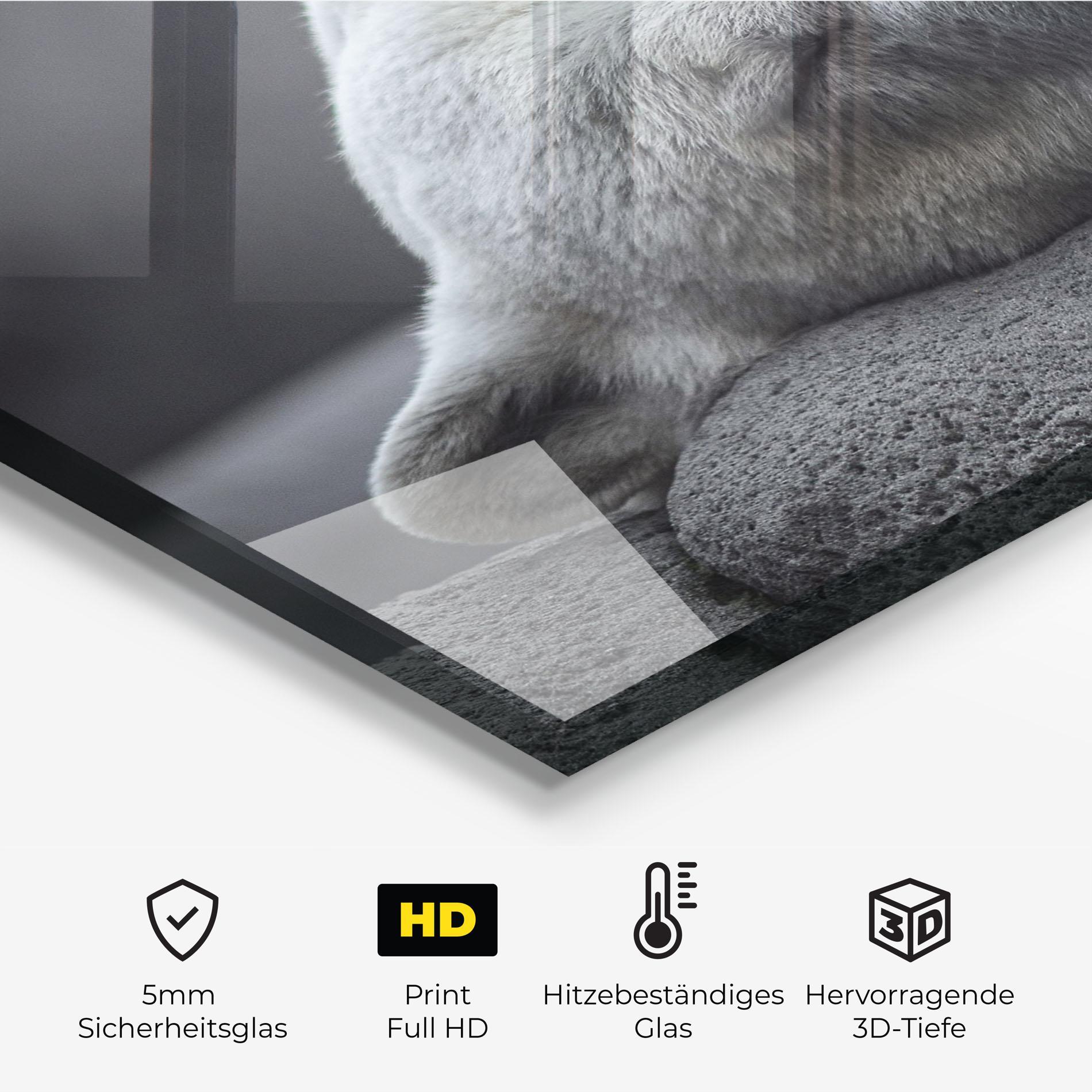 Küchenrückwand Glas Icebear Sleeping mockup 2