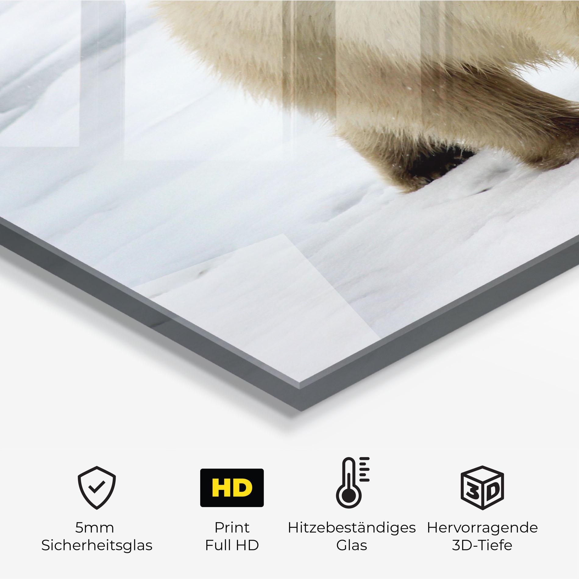 Küchenrückwand Glas Icebear Walking mockup 2