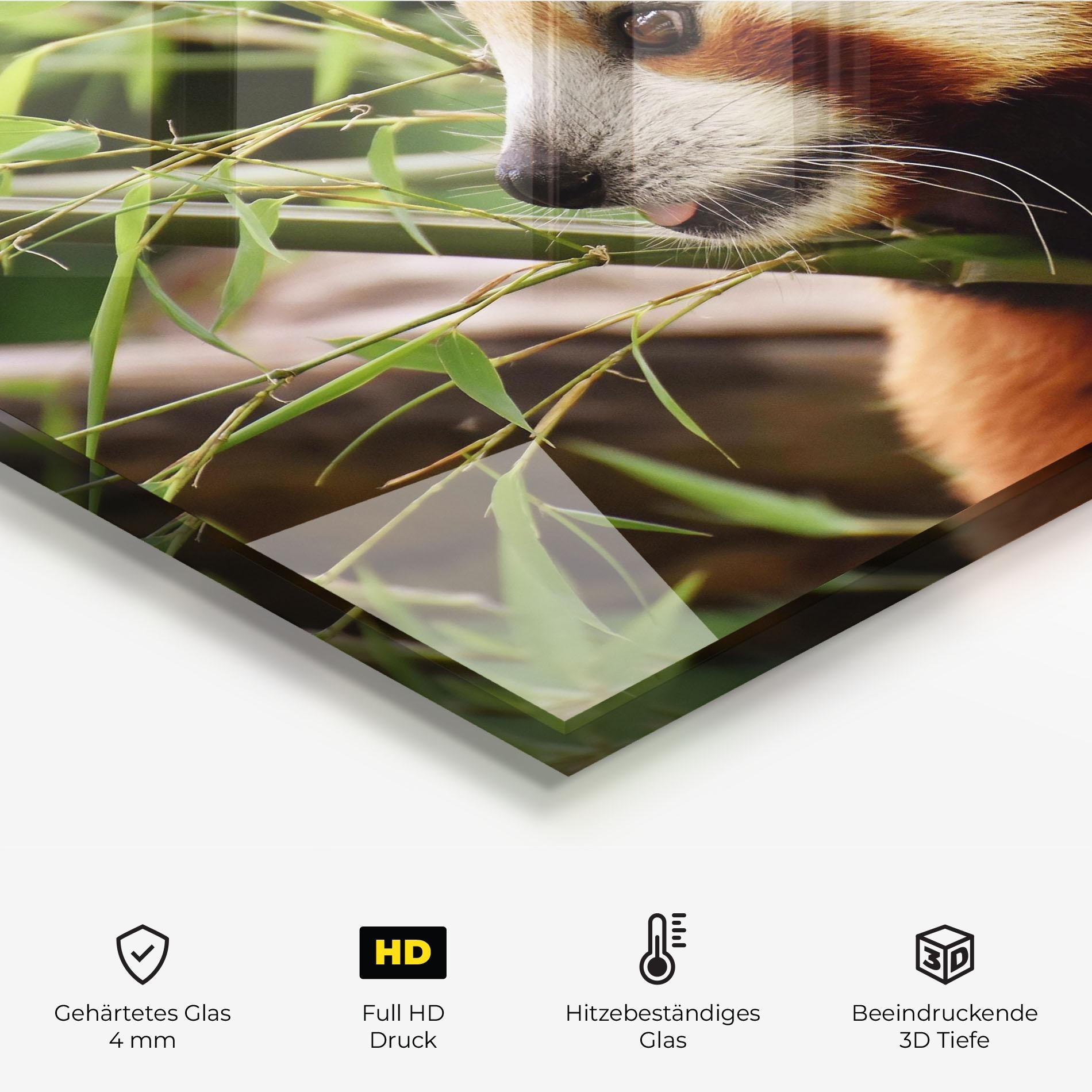 Küchenrückwand Glas Cute Red Panda mockup 2