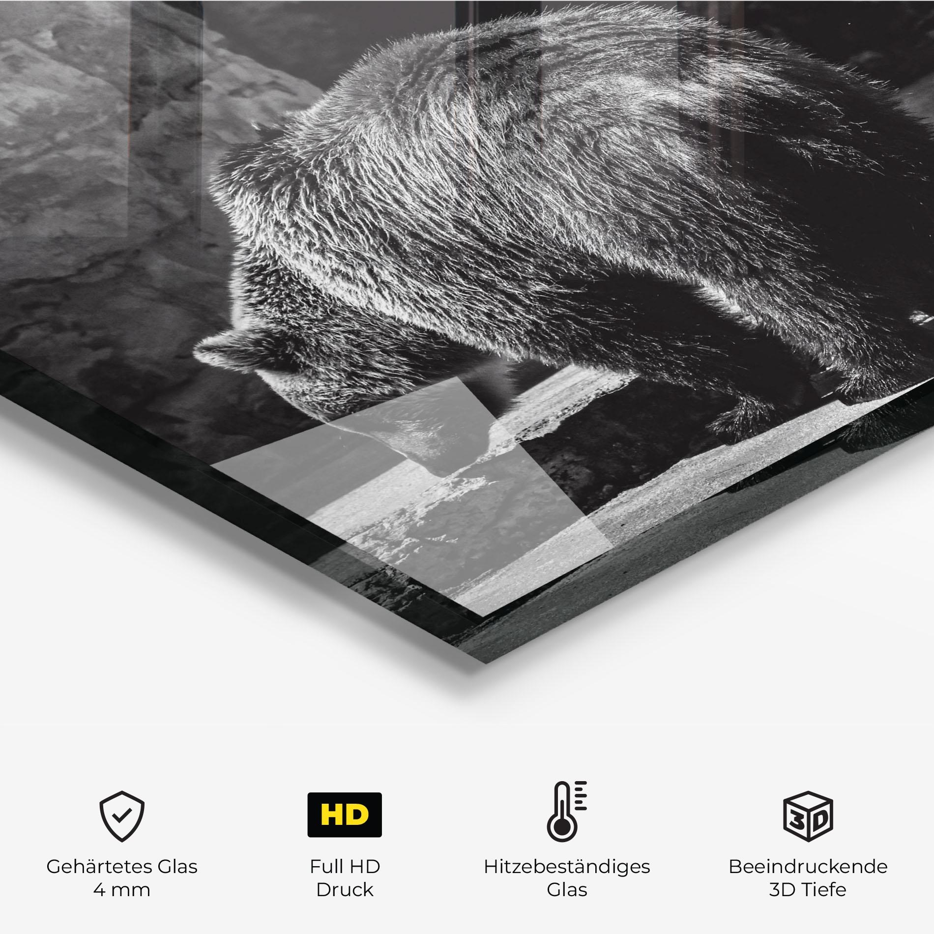 Küchenrückwand Glas Grey Bear mockup 2