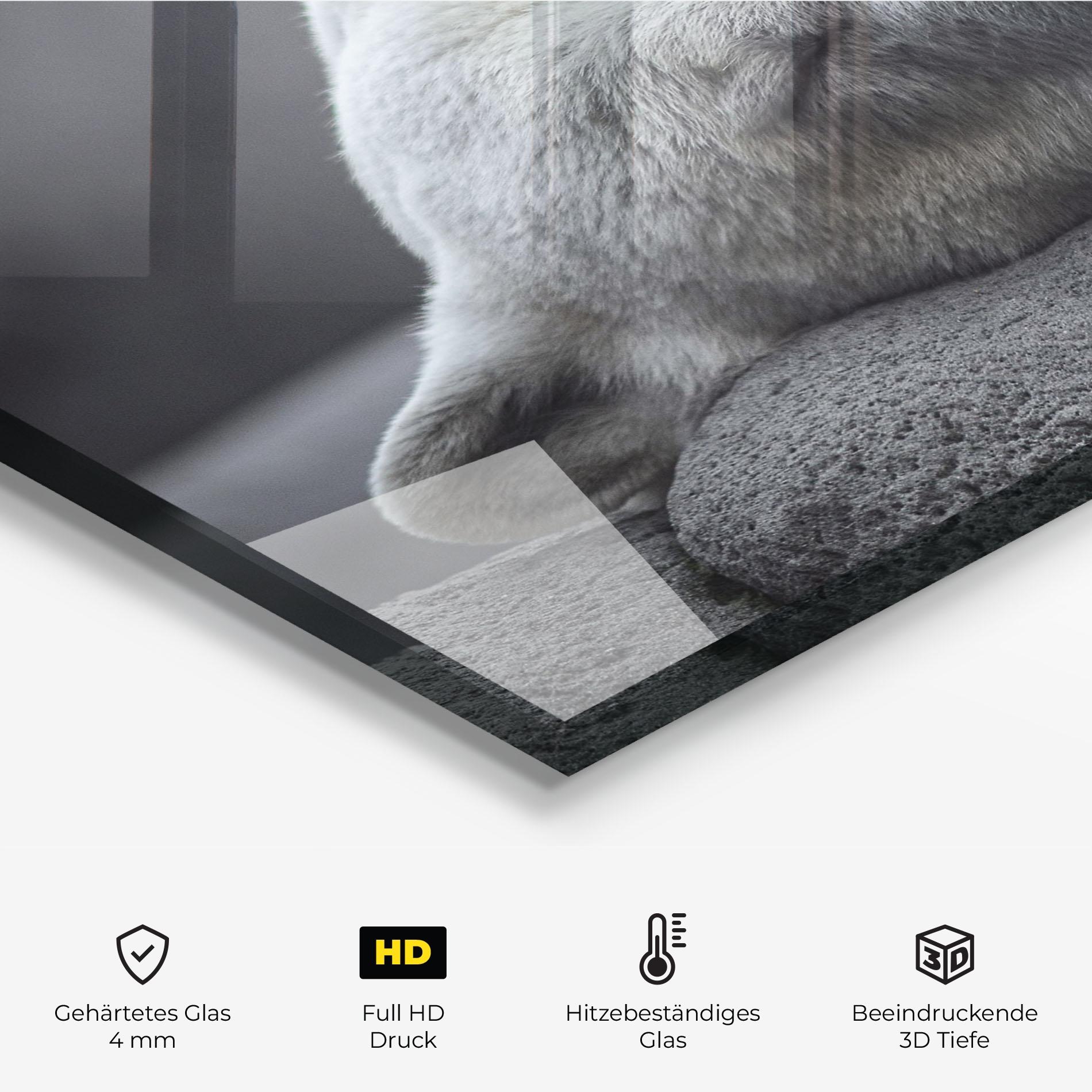 Küchenrückwand Glas Icebear Sleeping mockup 2