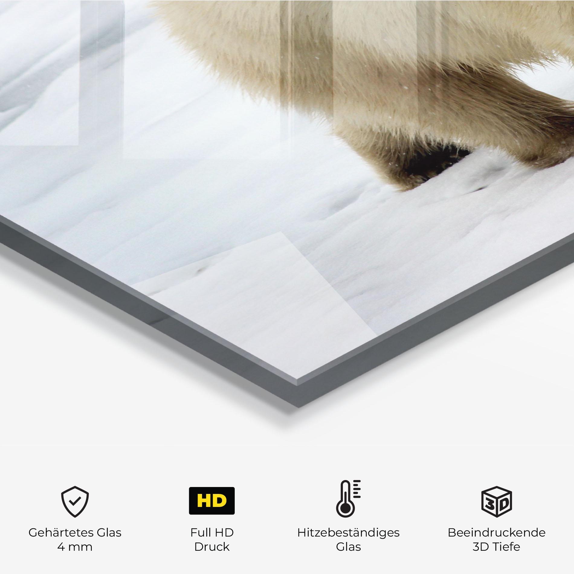 Küchenrückwand Glas Icebear Walking mockup 2