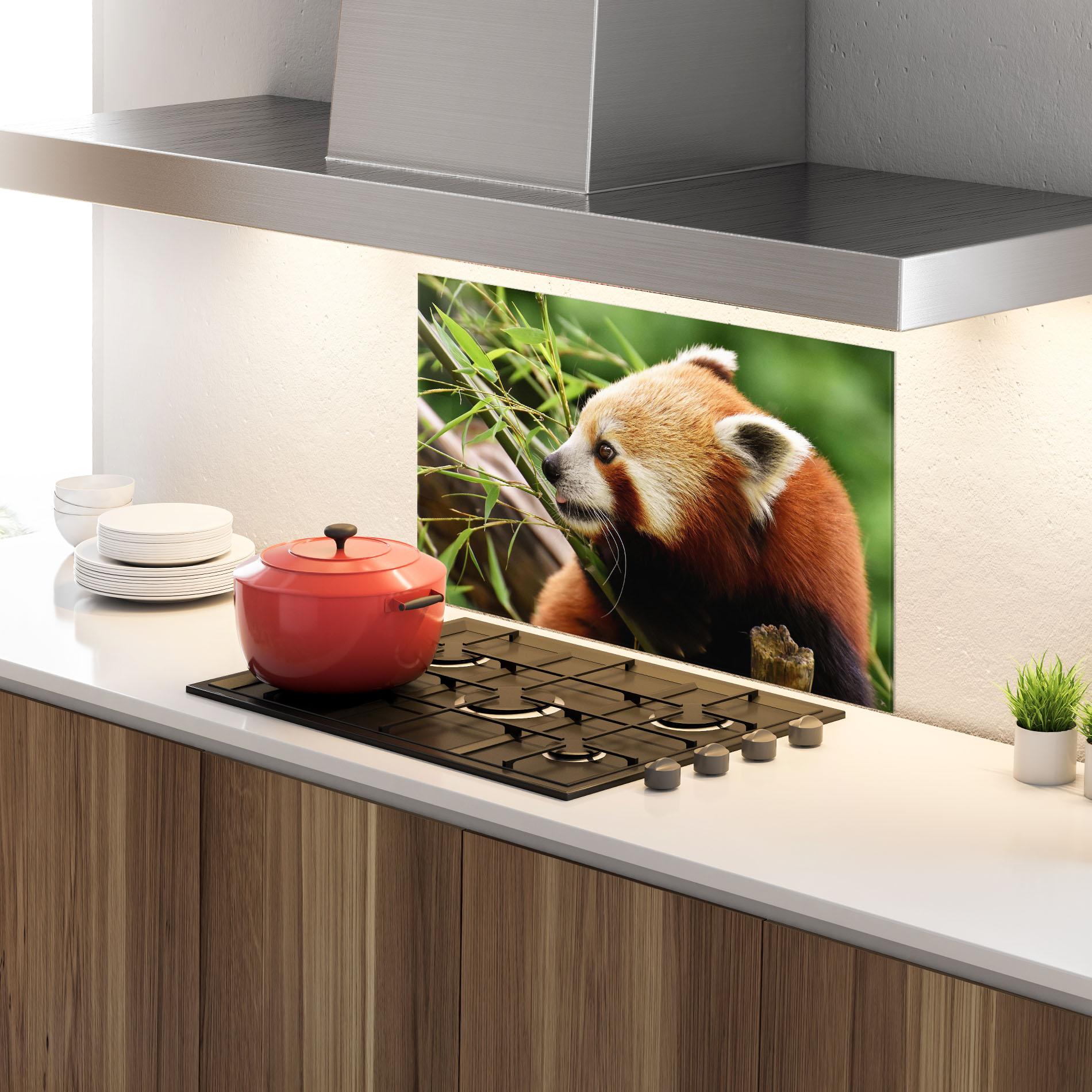 Küchenrückwand Glas Cute Red Panda mockup 4