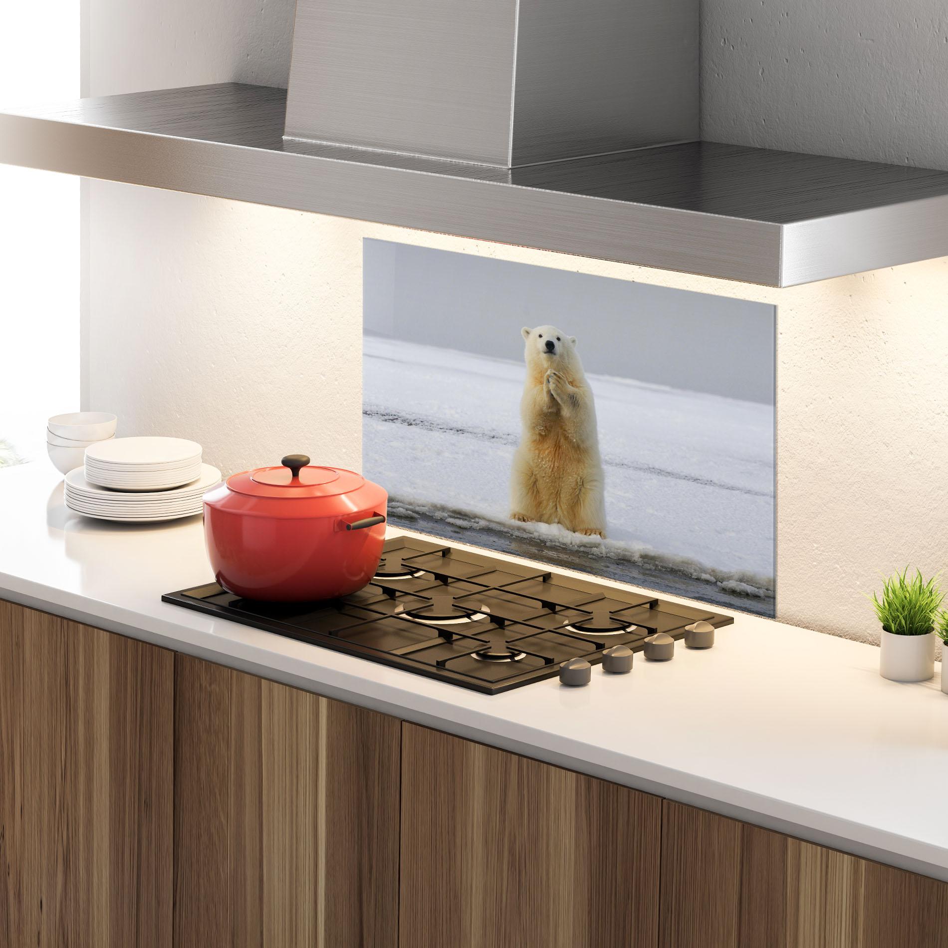 Küchenrückwand Glas Icebear Praying mockup 4