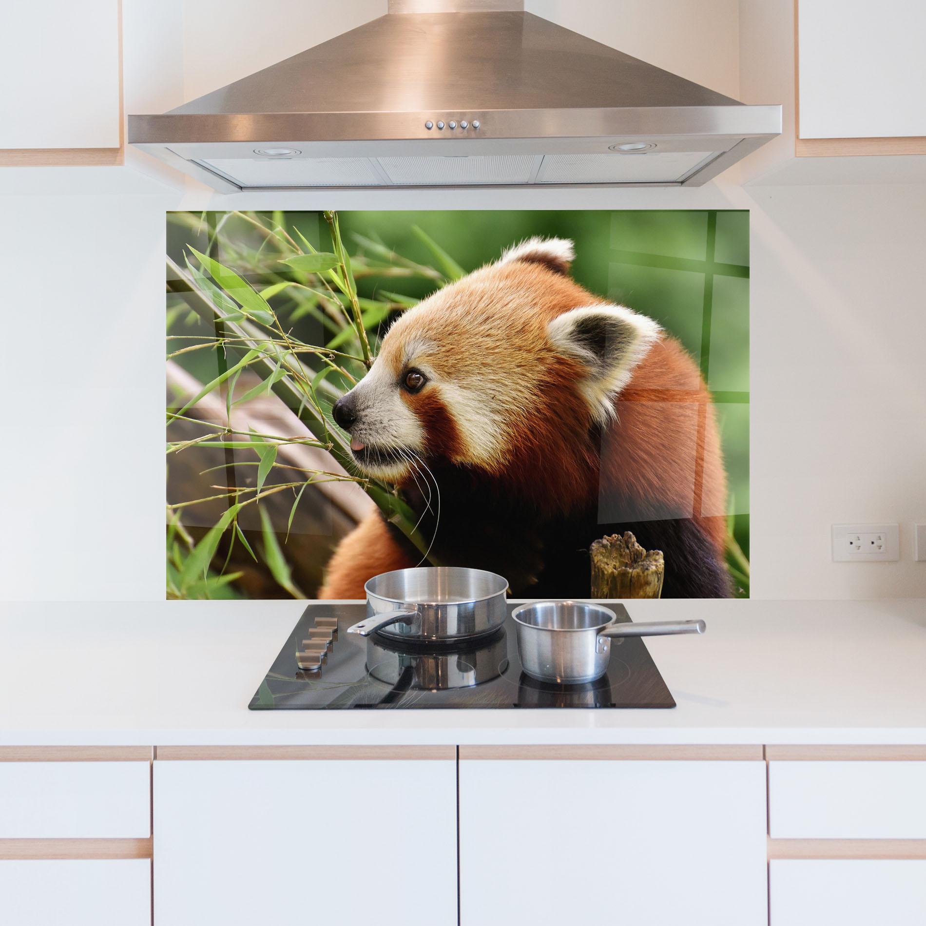 Küchenrückwand Glas Cute Red Panda mockup 5