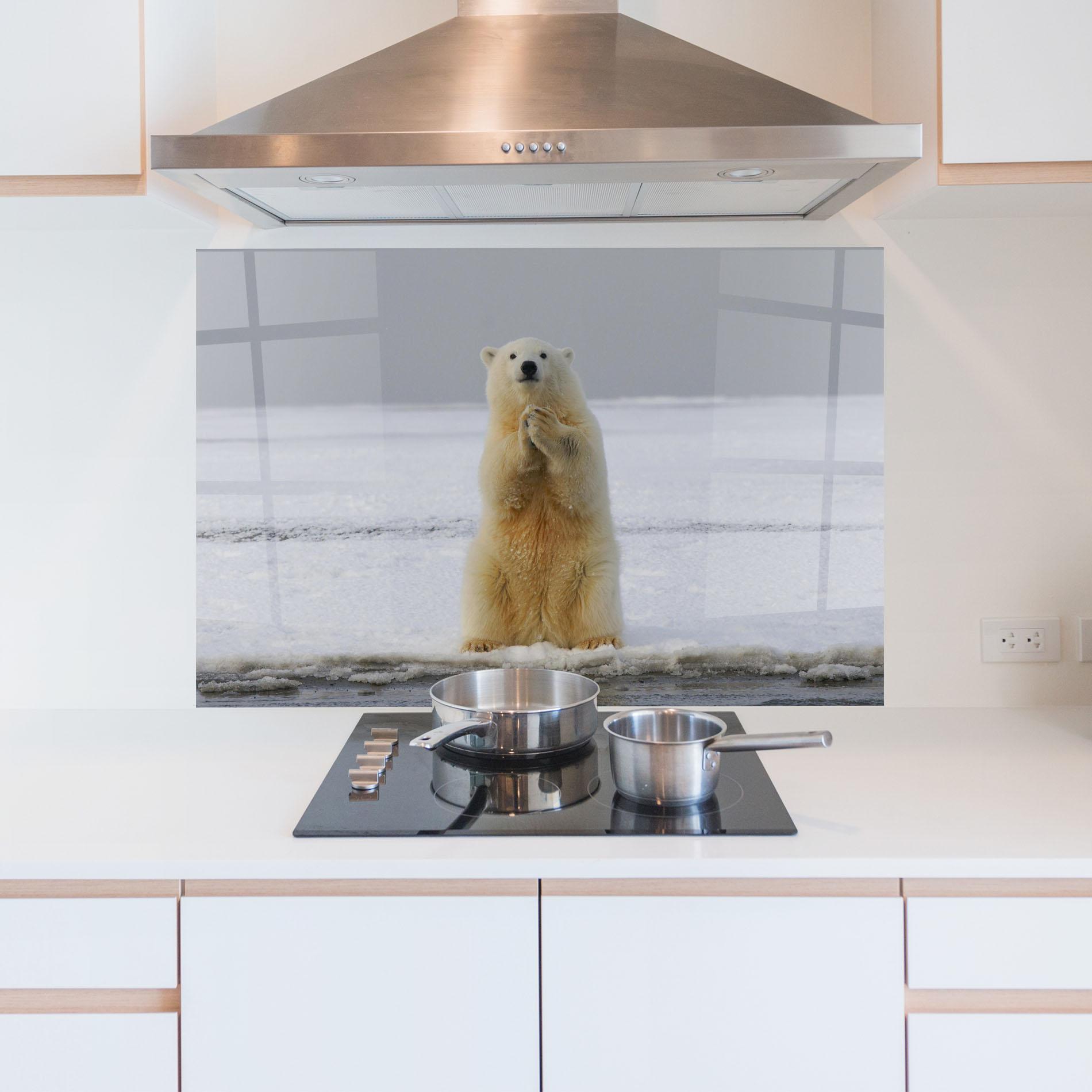 Küchenrückwand Glas Icebear Praying mockup 5