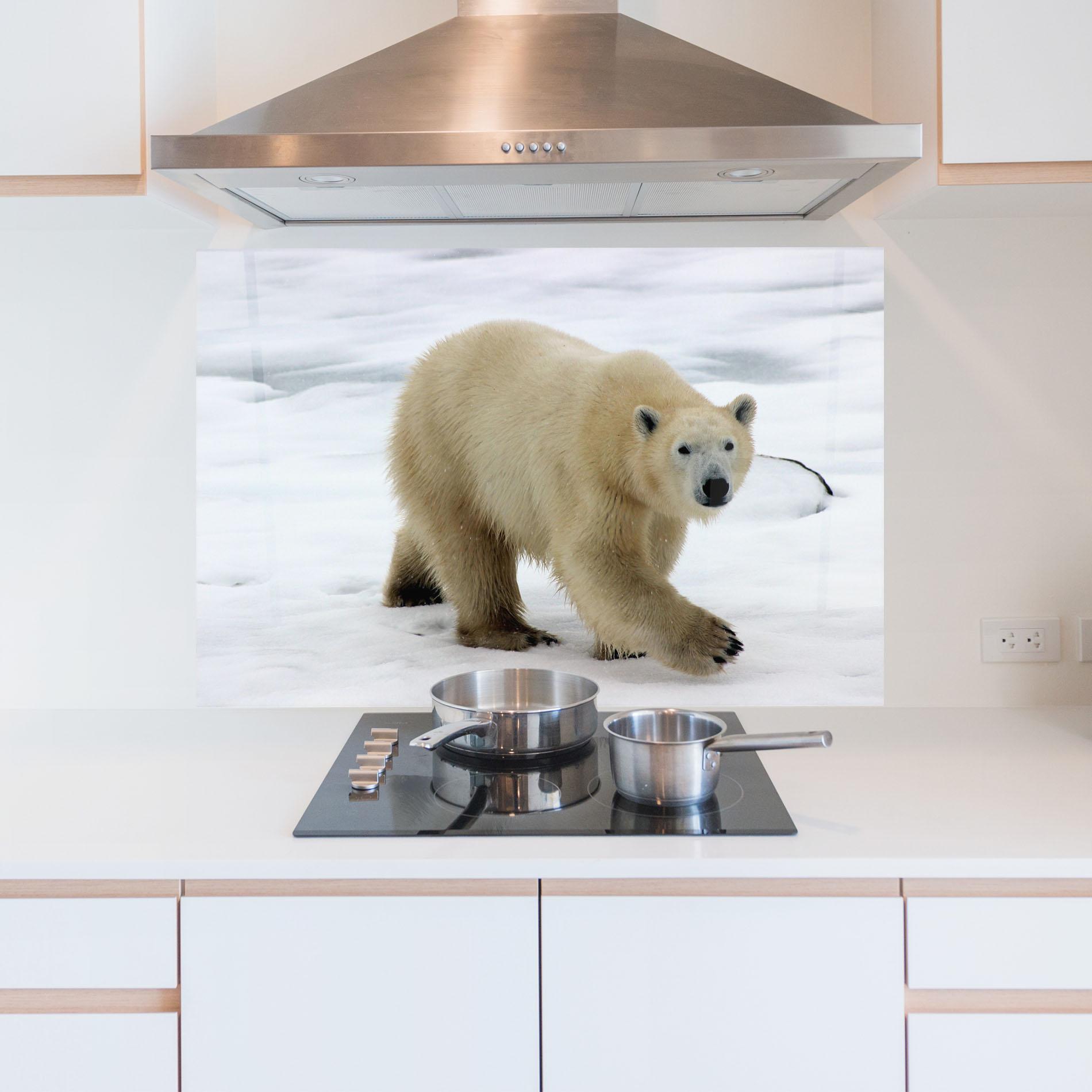 Küchenrückwand Glas Icebear Walking mockup 5