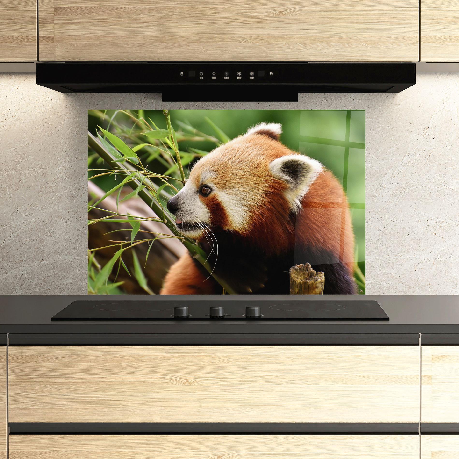 Küchenrückwand Glas Cute Red Panda mockup 3