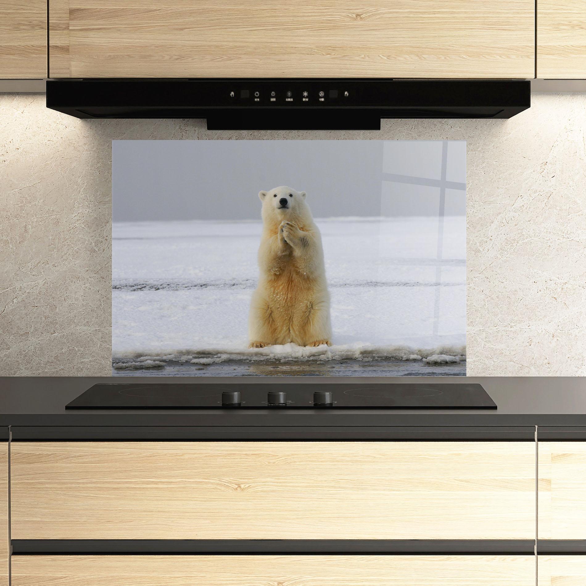 Küchenrückwand Glas Icebear Praying mockup 3
