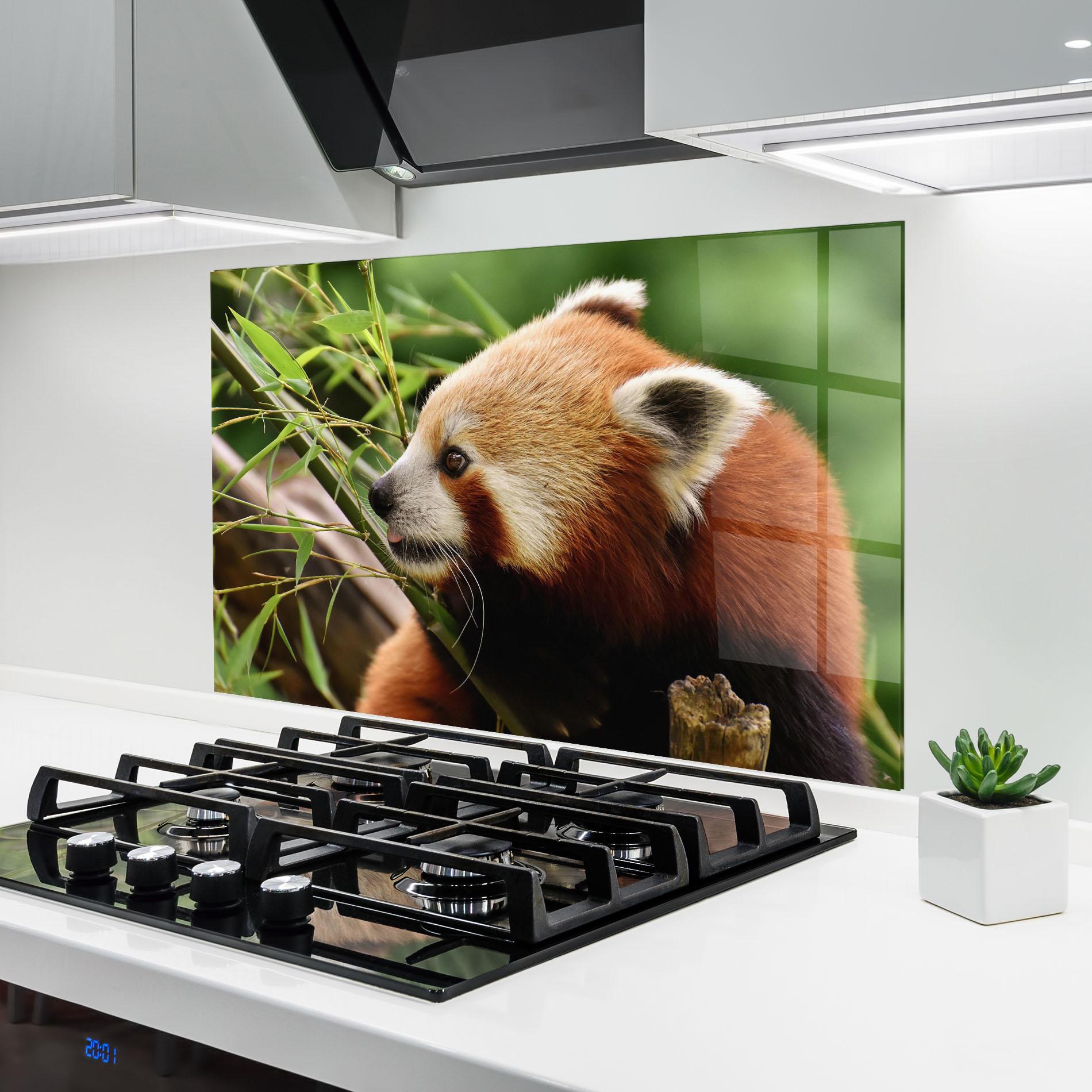 Küchenrückwand Glas Cute Red Panda mockup 6
