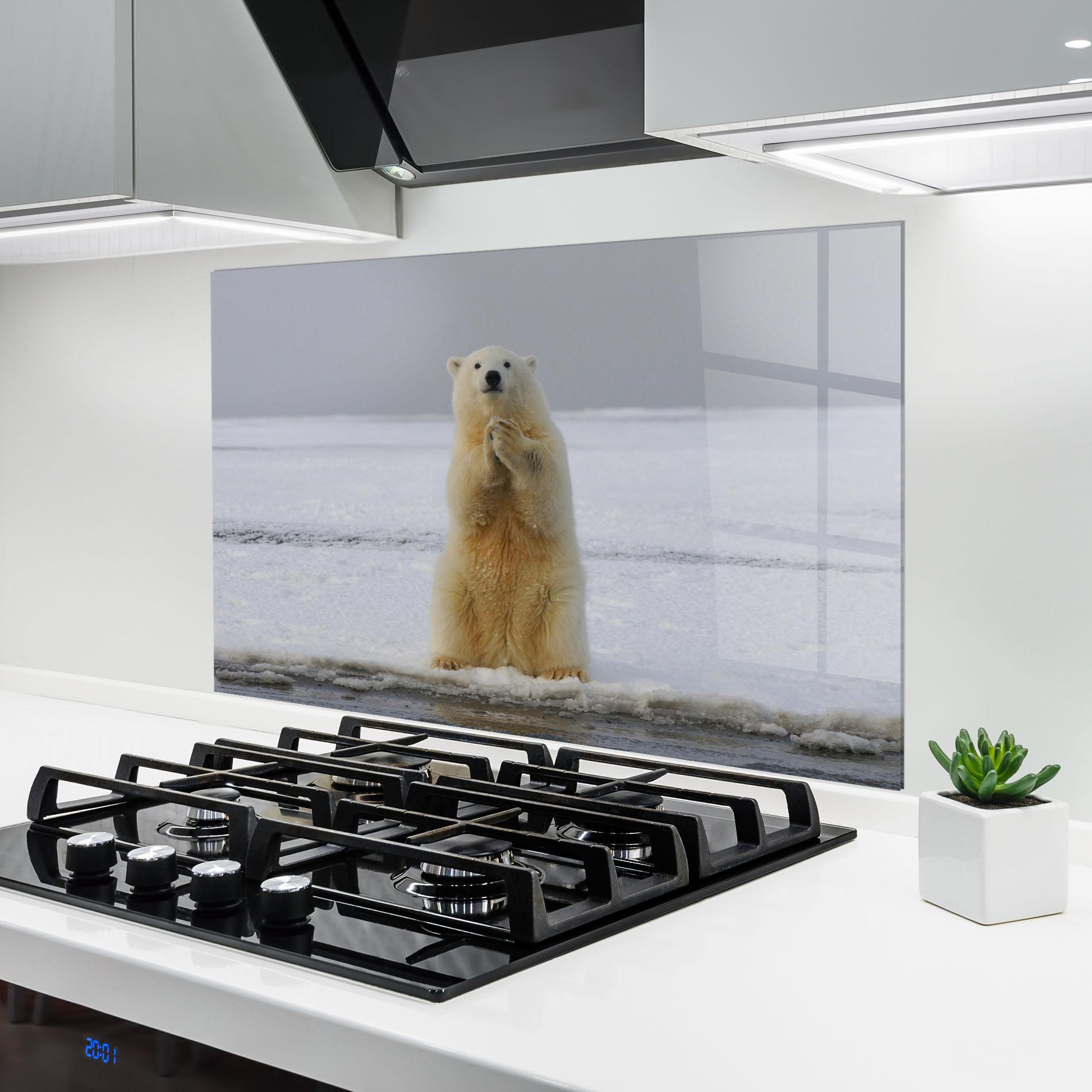 Küchenrückwand Glas Icebear Praying mockup 6