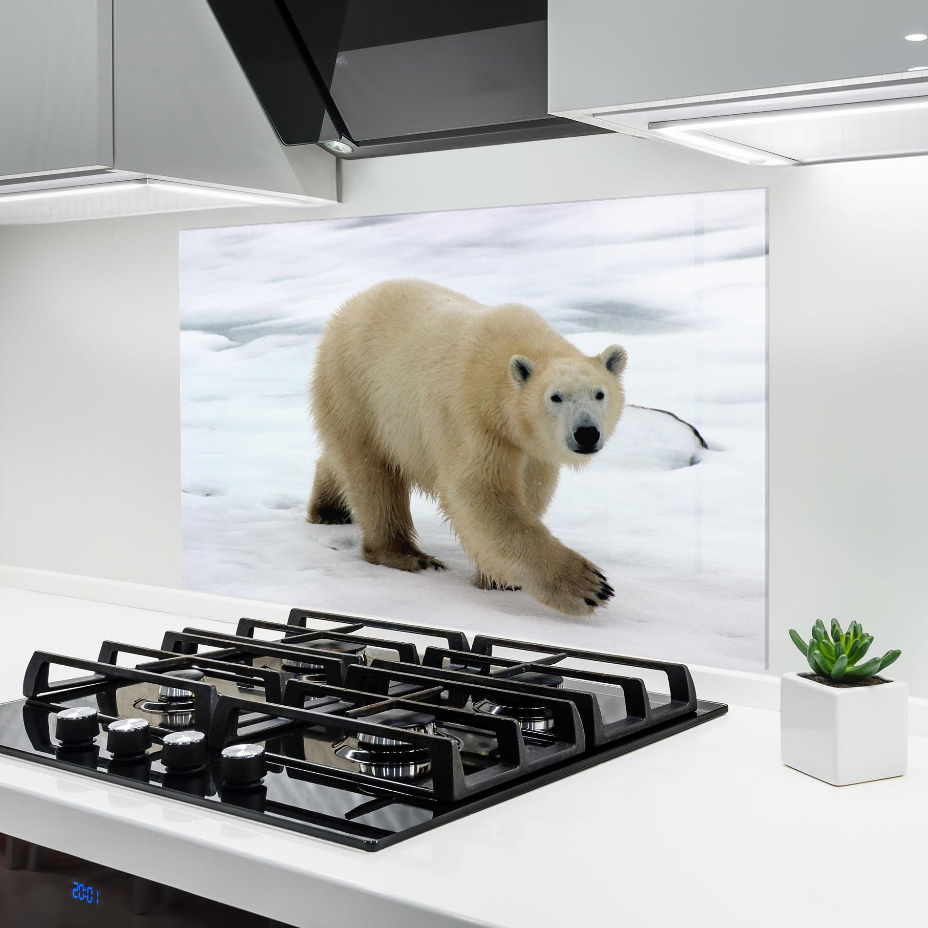 Küchenrückwand Glas Icebear Walking mockup 6
