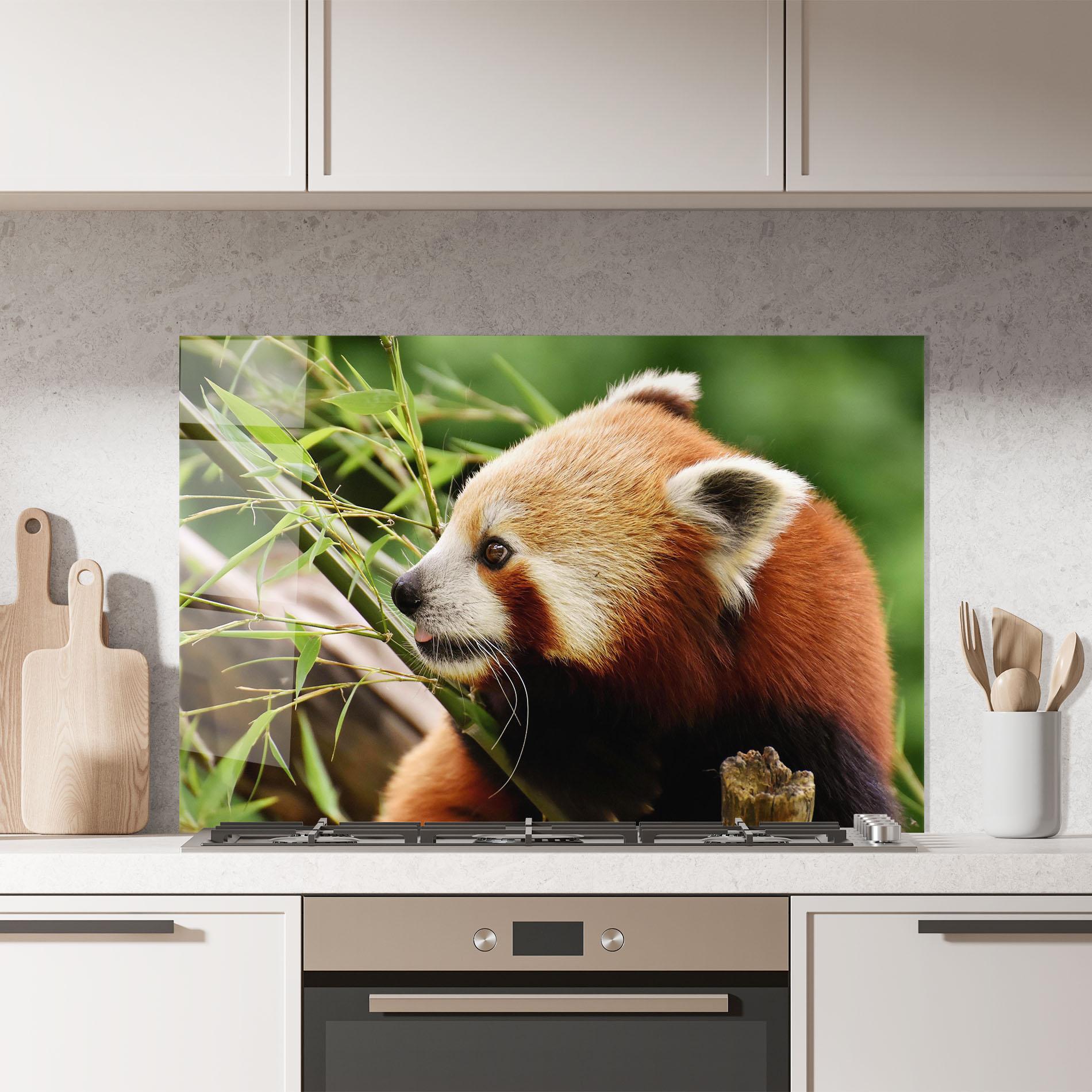 Küchenrückwand Glas Cute Red Panda mockup 7