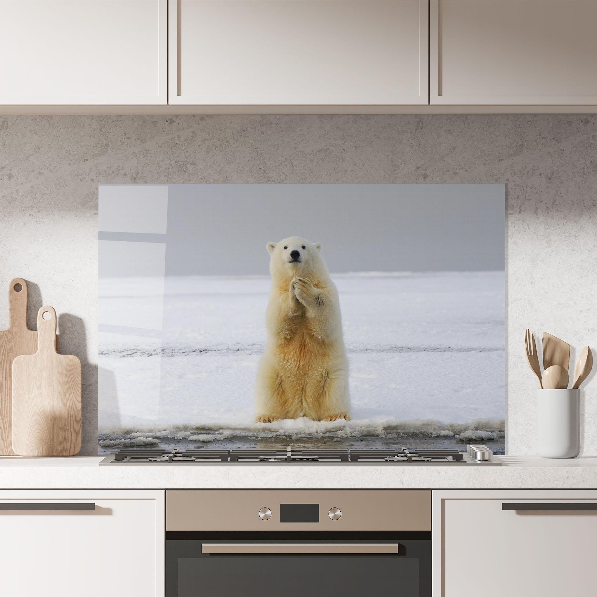 Küchenrückwand Glas Icebear Praying mockup 7