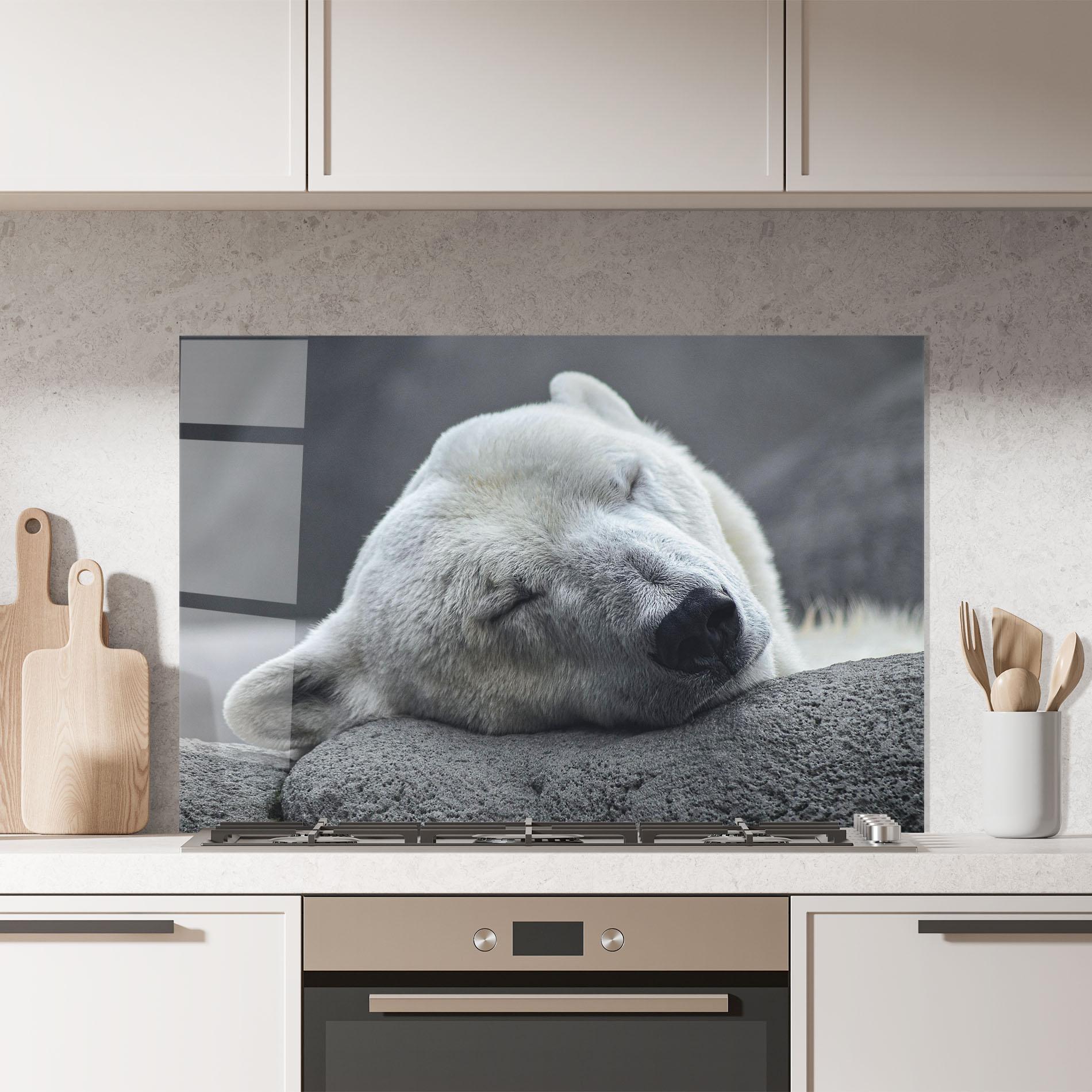Küchenrückwand Glas Icebear Sleeping mockup 7