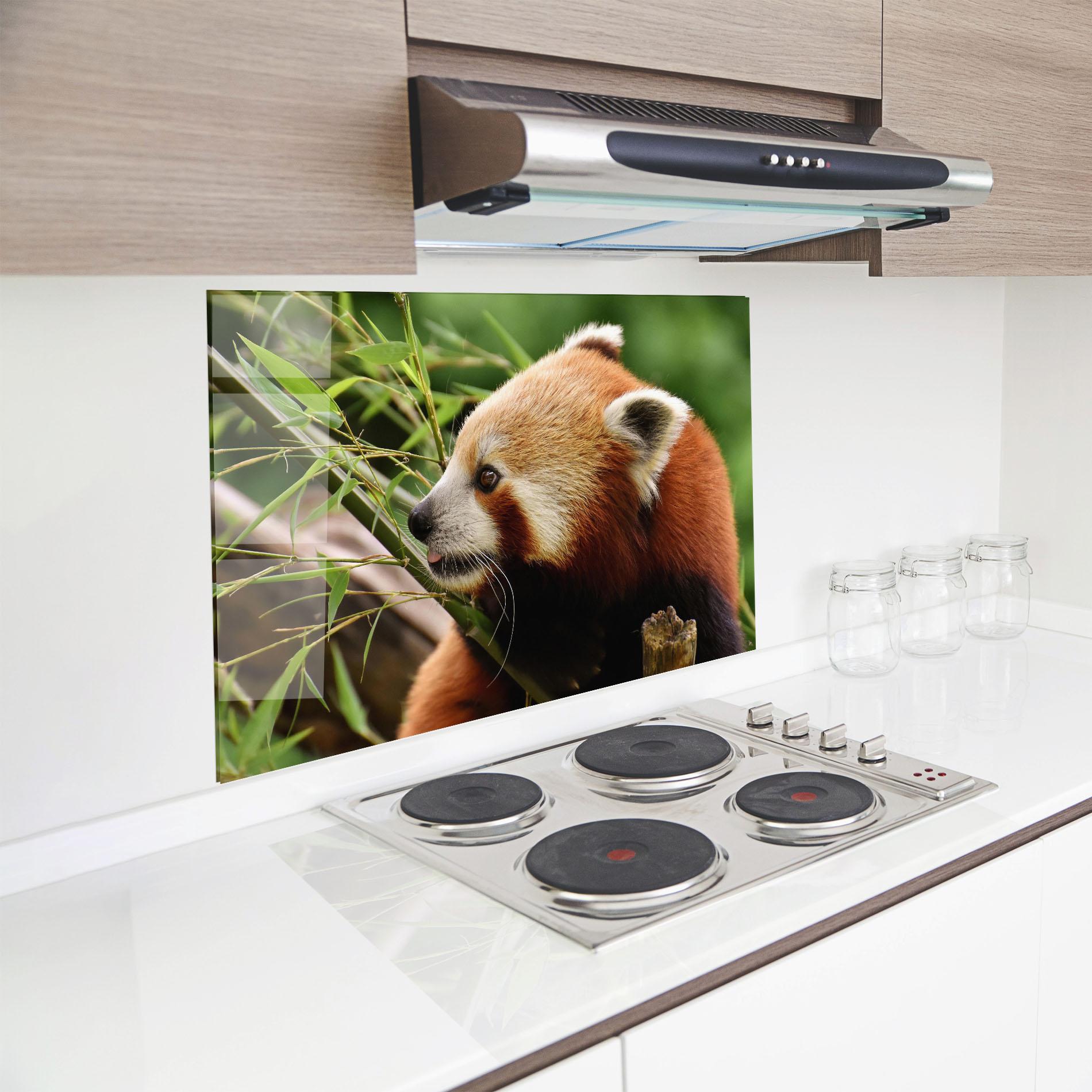 Küchenrückwand Glas Cute Red Panda mockup 8