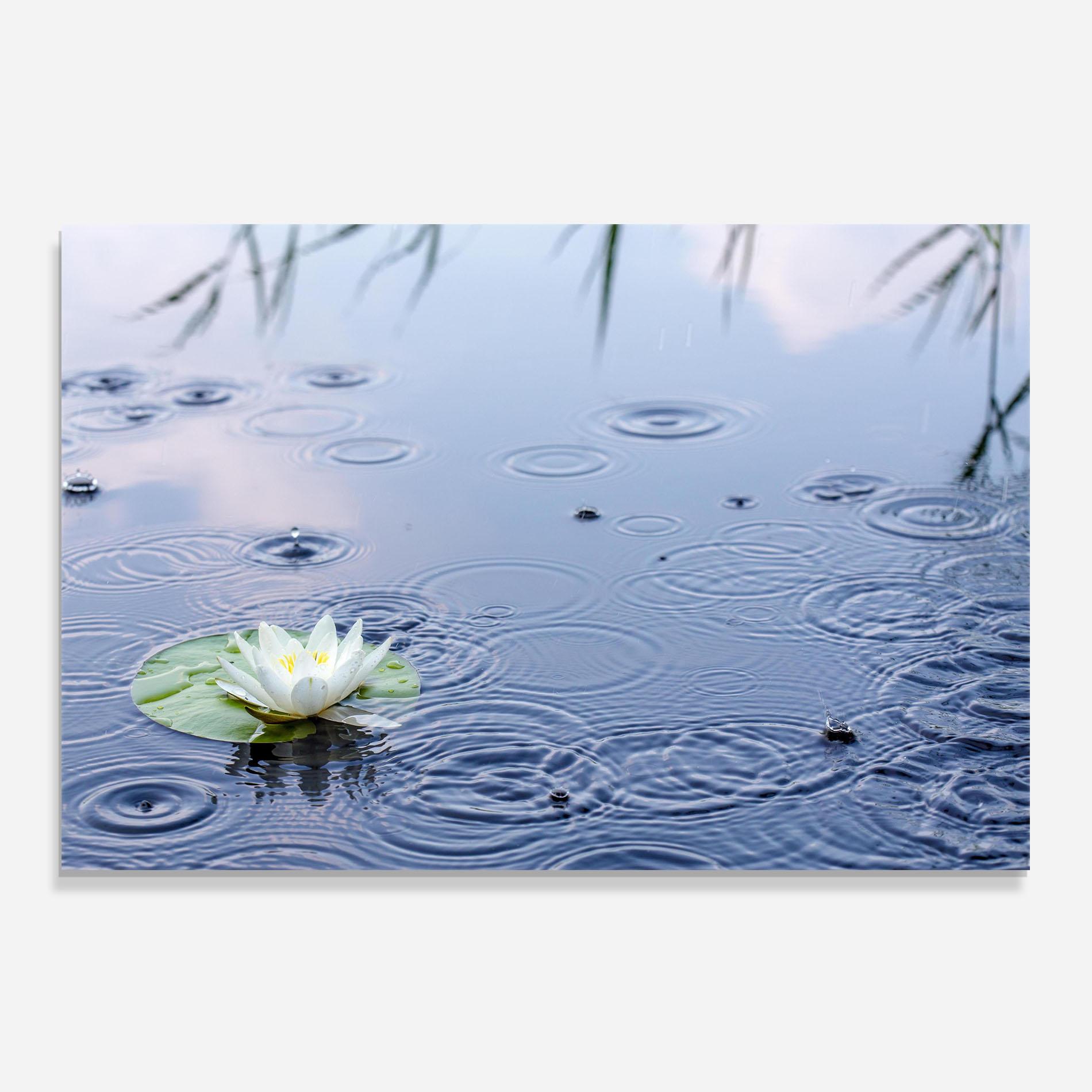 Küchenrückwand Glas Clear Lake Rain mockup 0