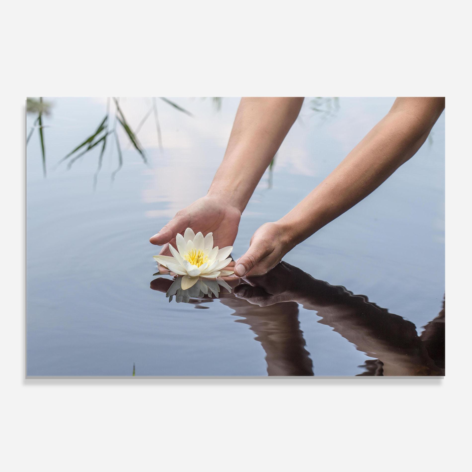 Küchenrückwand Glas Holding Lake Flower mockup 0