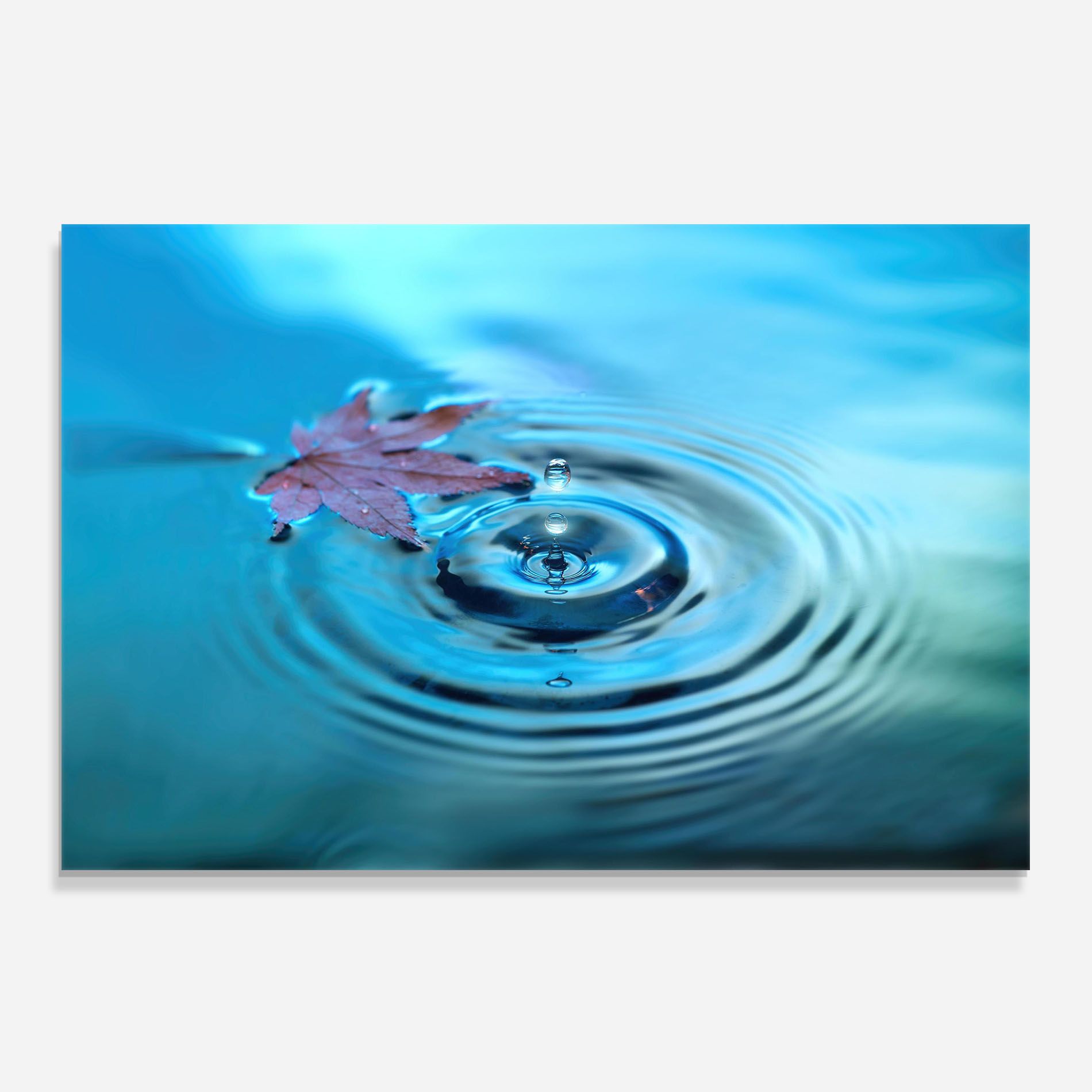 Red Leaf Floating mockup 0