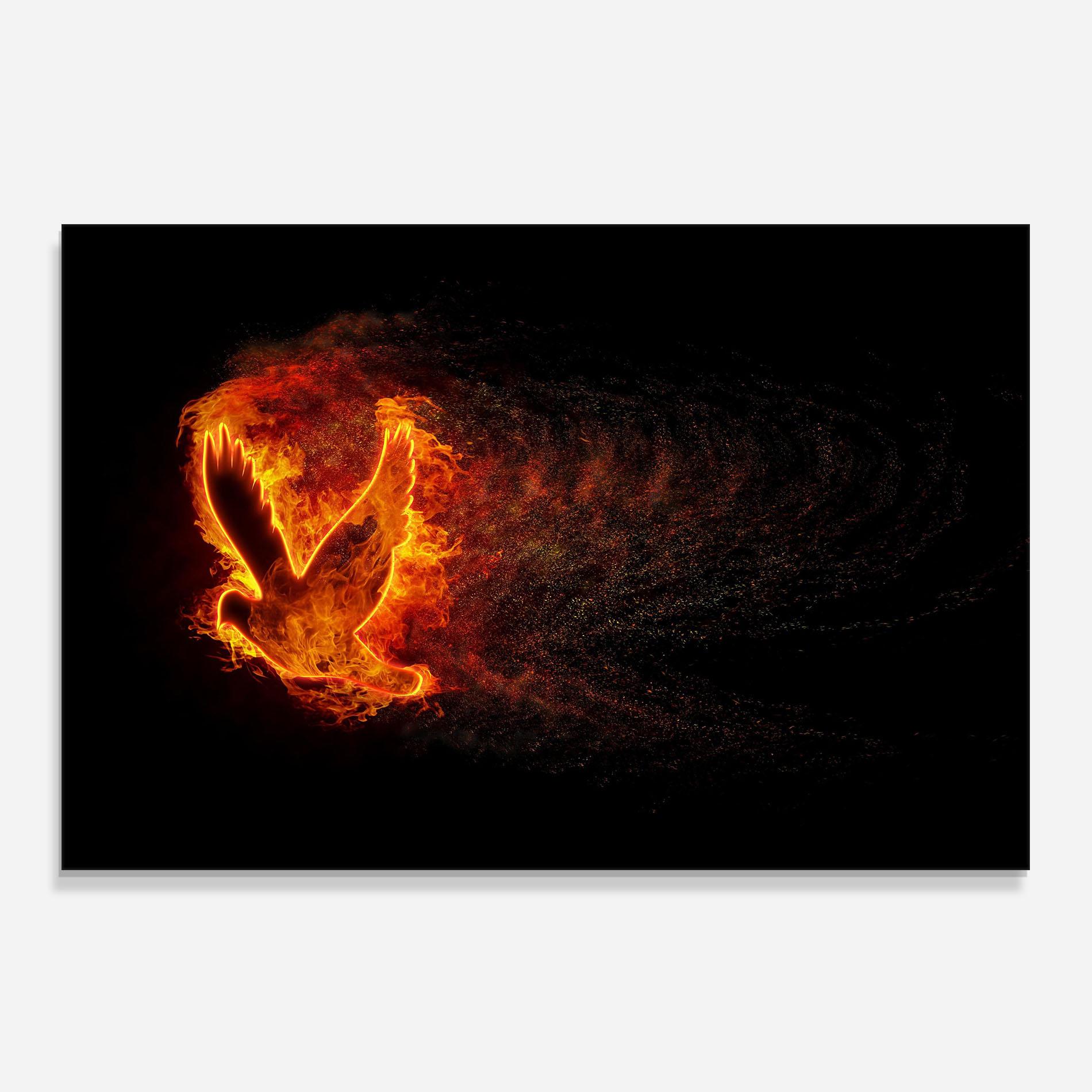 Küchenrückwand Glas Flames Bird mockup 0