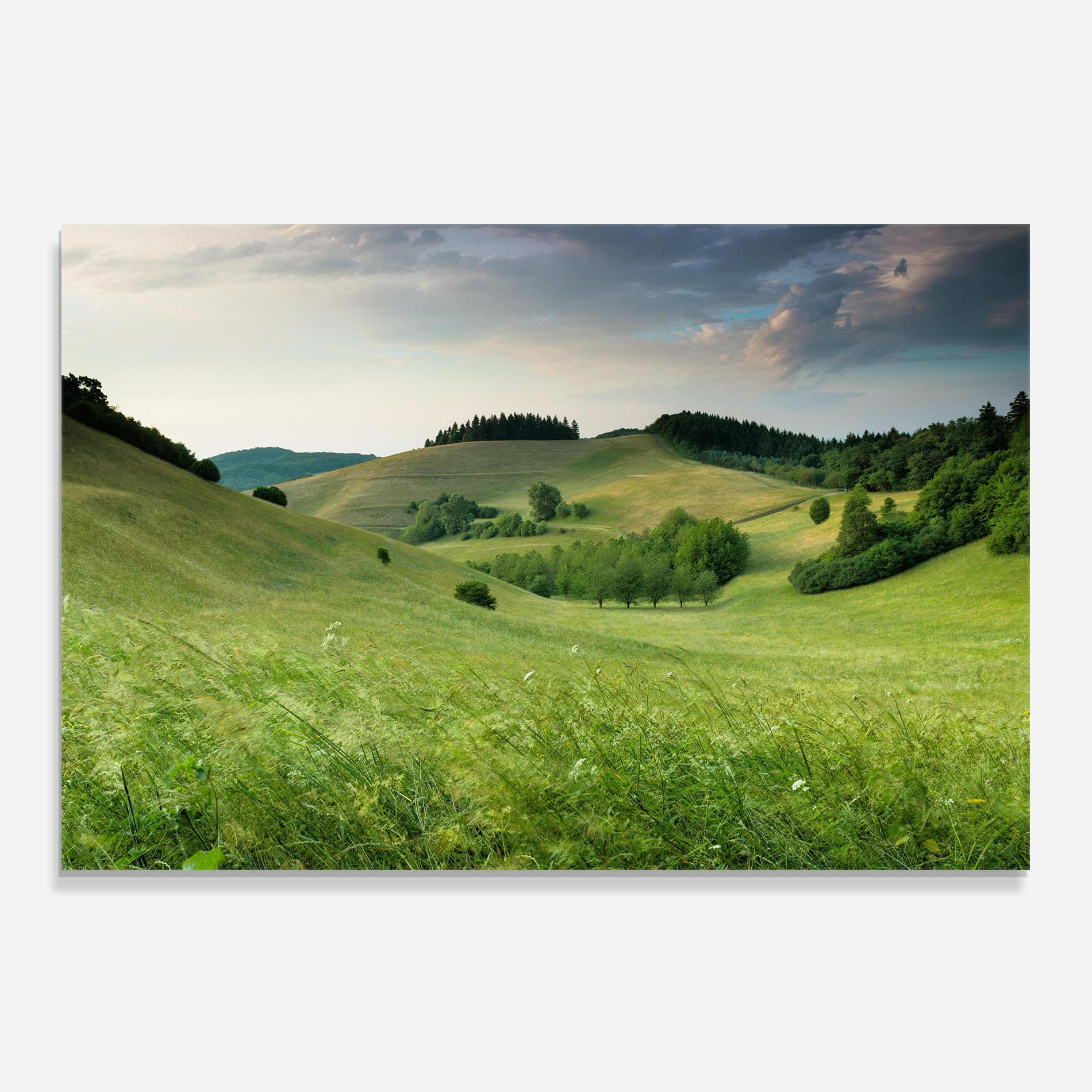 Küchenrückwand Glas Green Field View mockup 0