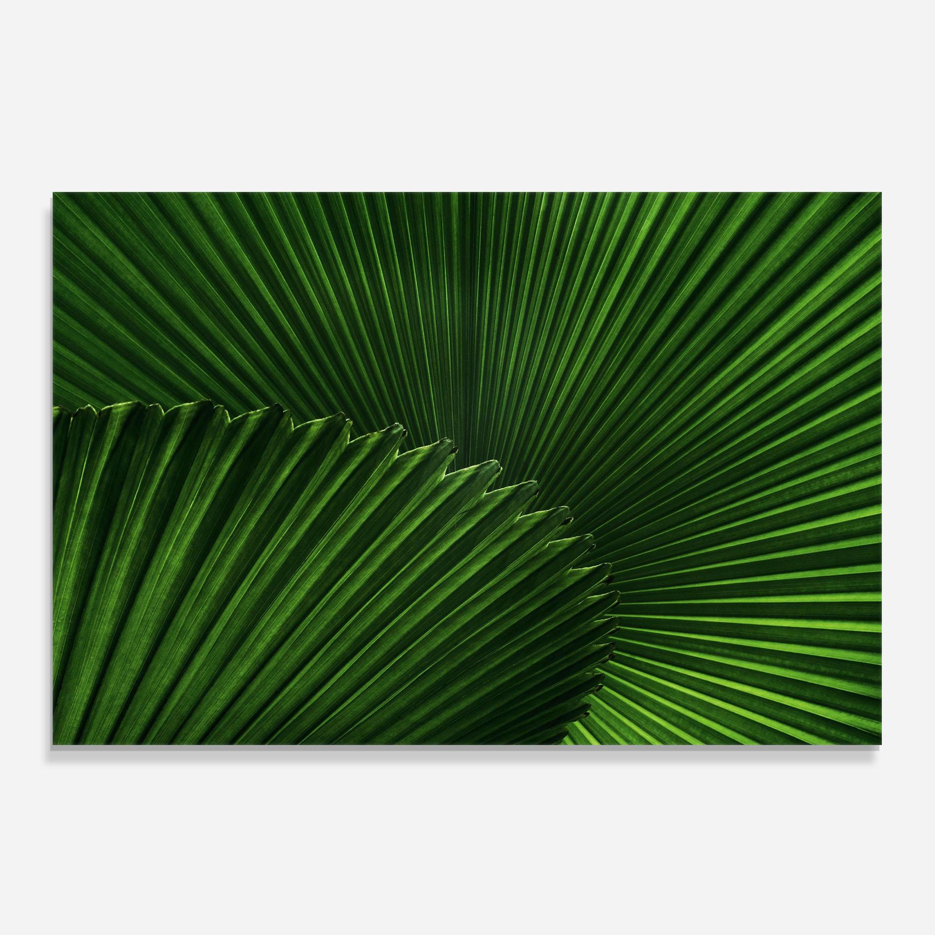 Küchenrückwand Glas Strong Green Leaf Art mockup 0