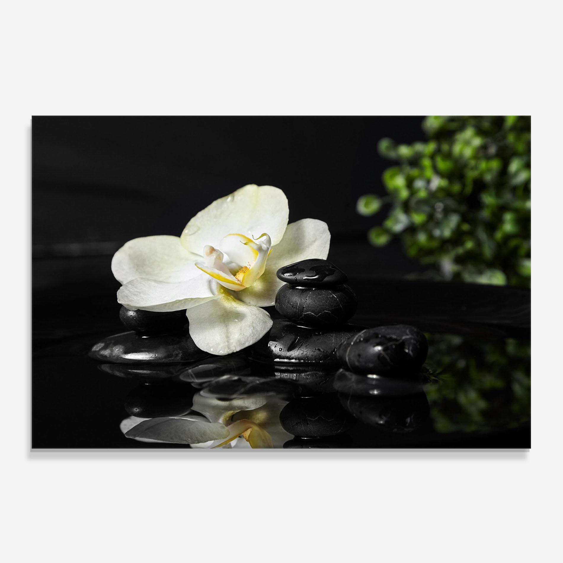 Küchenrückwand Glas White Spa Flower mockup 0