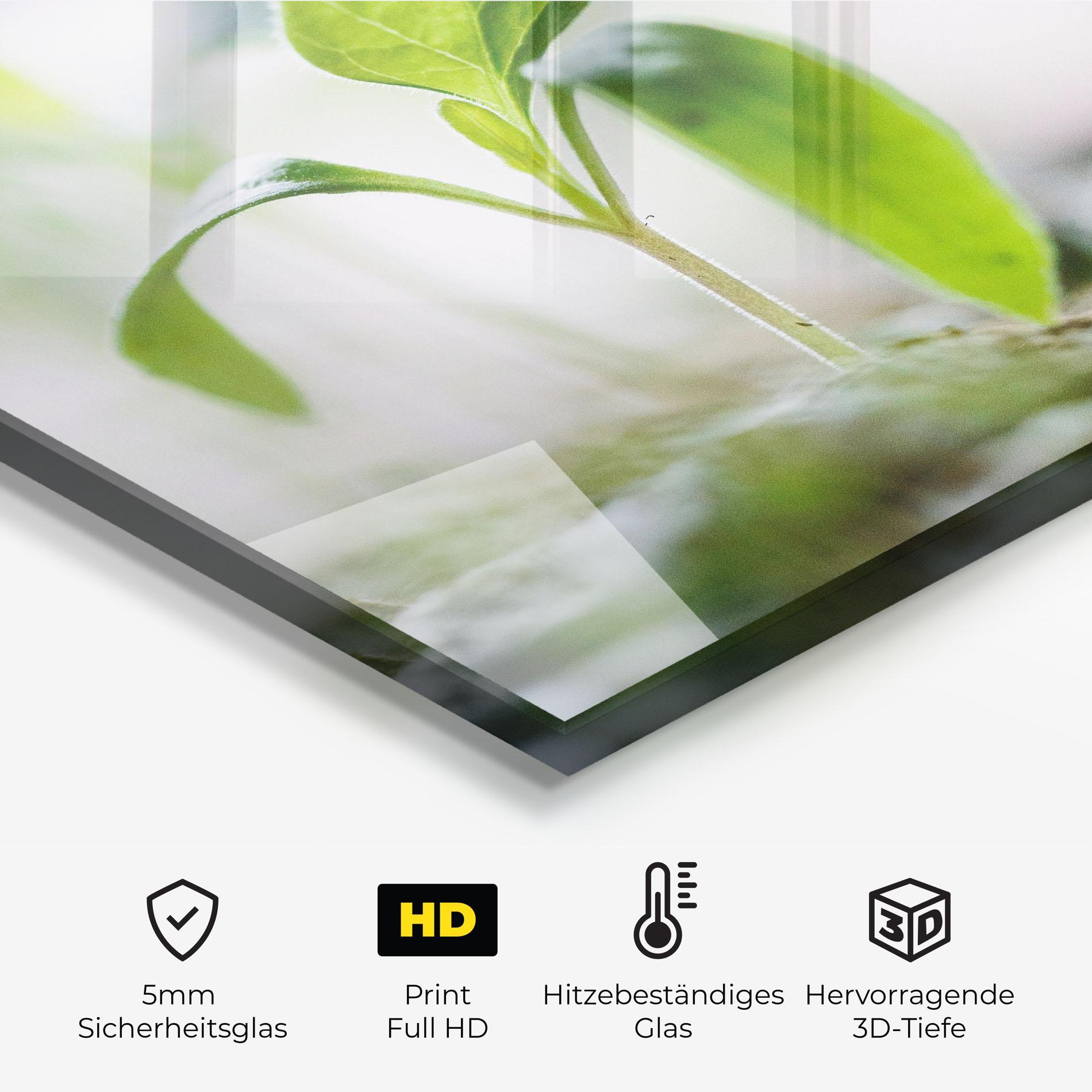 Küchenrückwand Glas Pretty Green Plant mockup 2