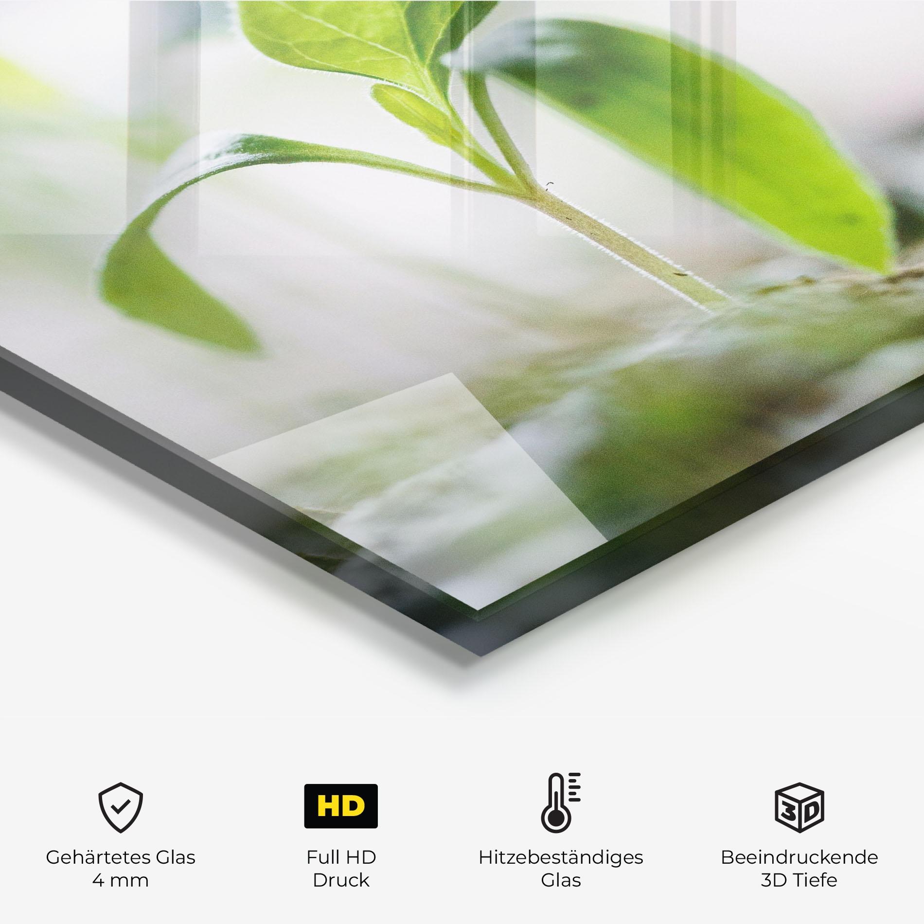 Küchenrückwand Glas Pretty Green Plant mockup 2