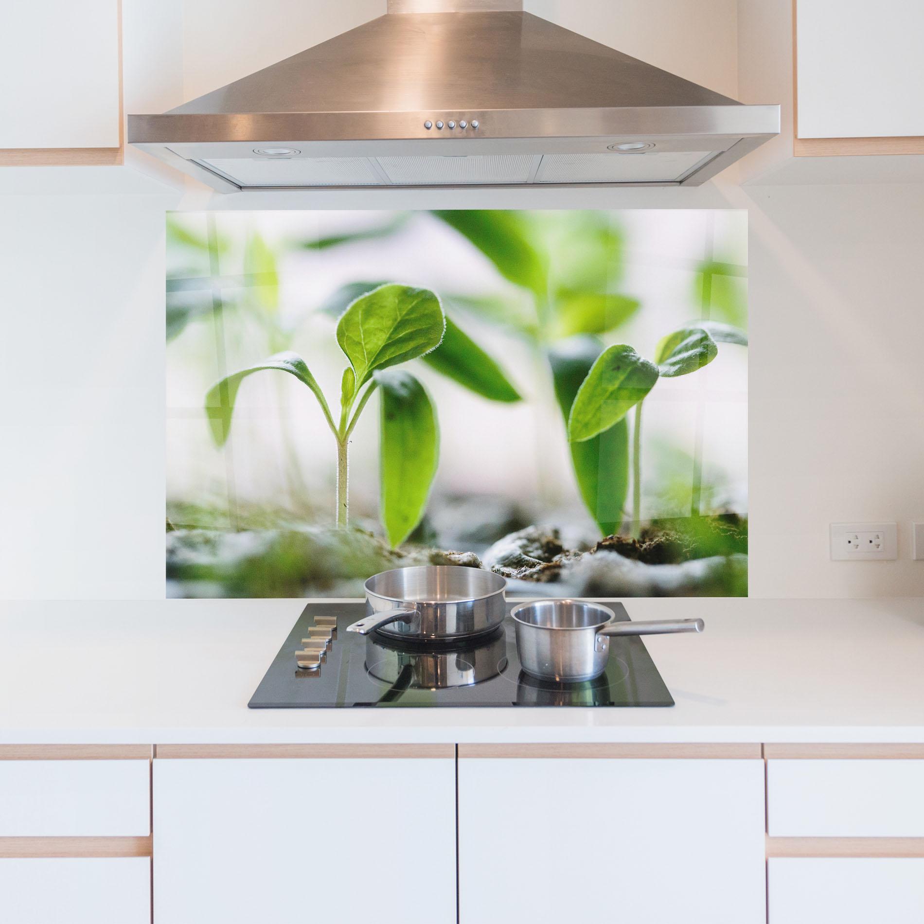 Küchenrückwand Glas Pretty Green Plant mockup 5