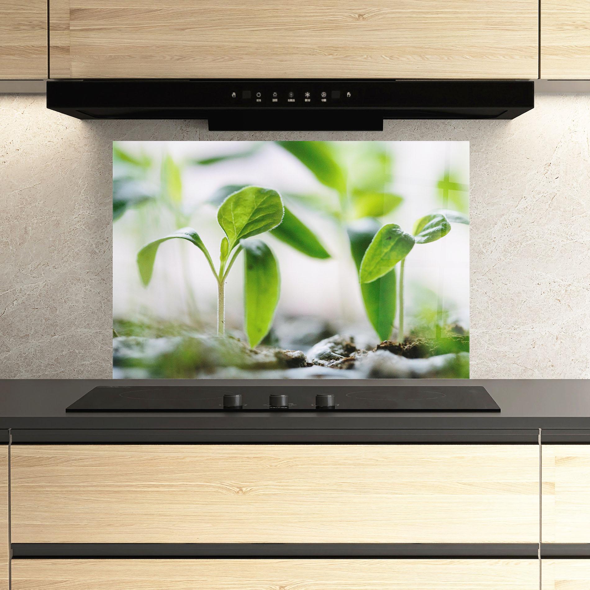 Küchenrückwand Glas Pretty Green Plant mockup 3