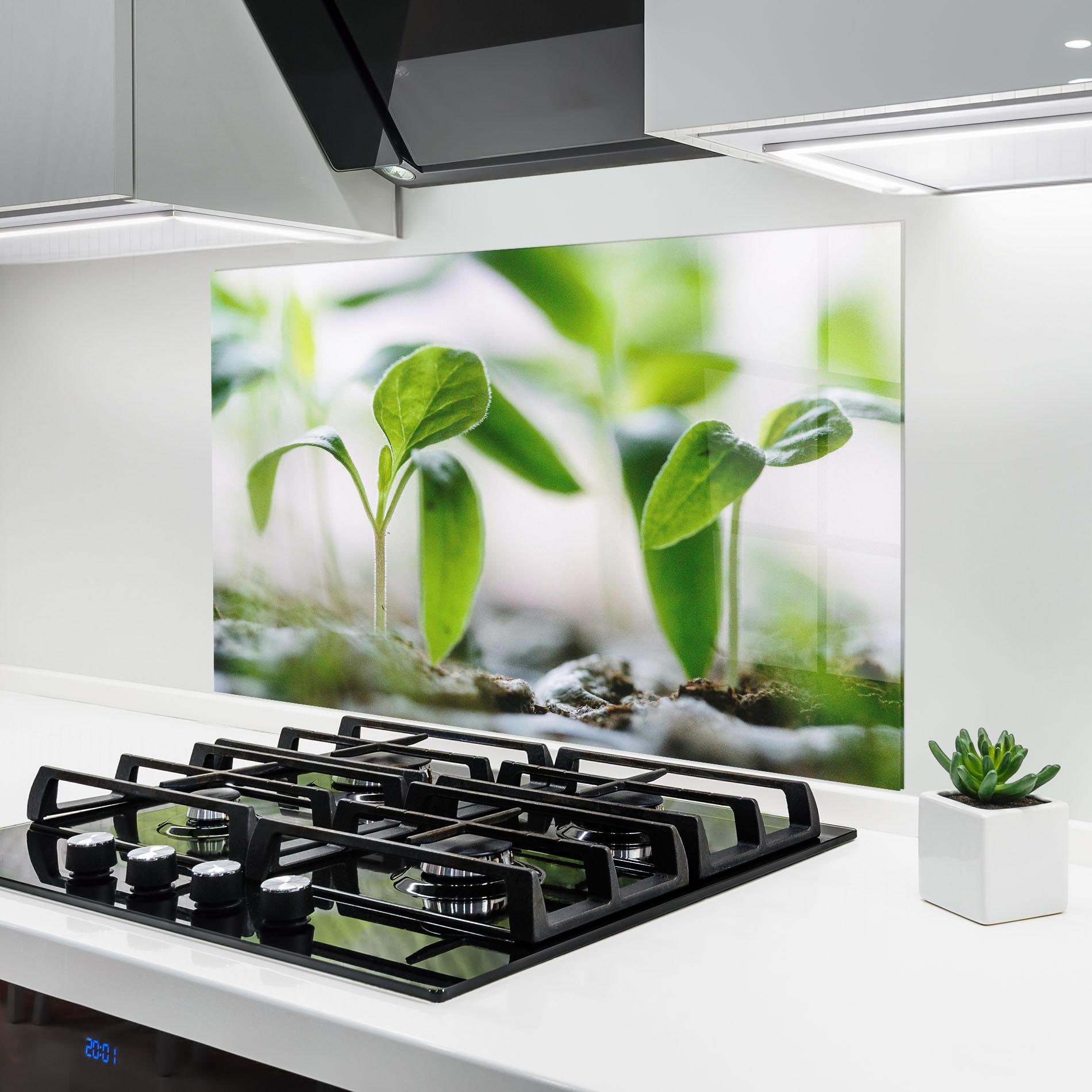 Küchenrückwand Glas Pretty Green Plant mockup 6