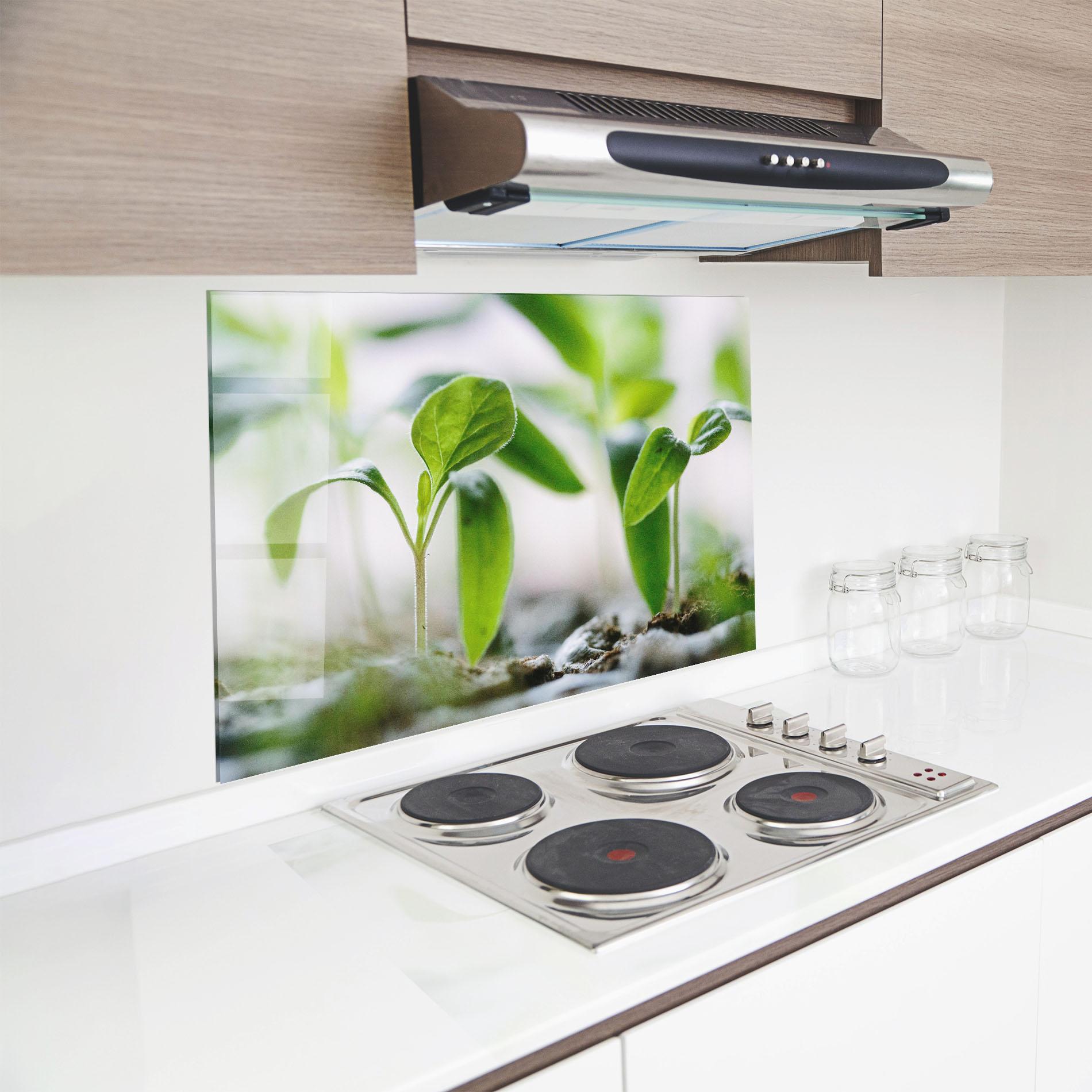 Küchenrückwand Glas Pretty Green Plant mockup 8