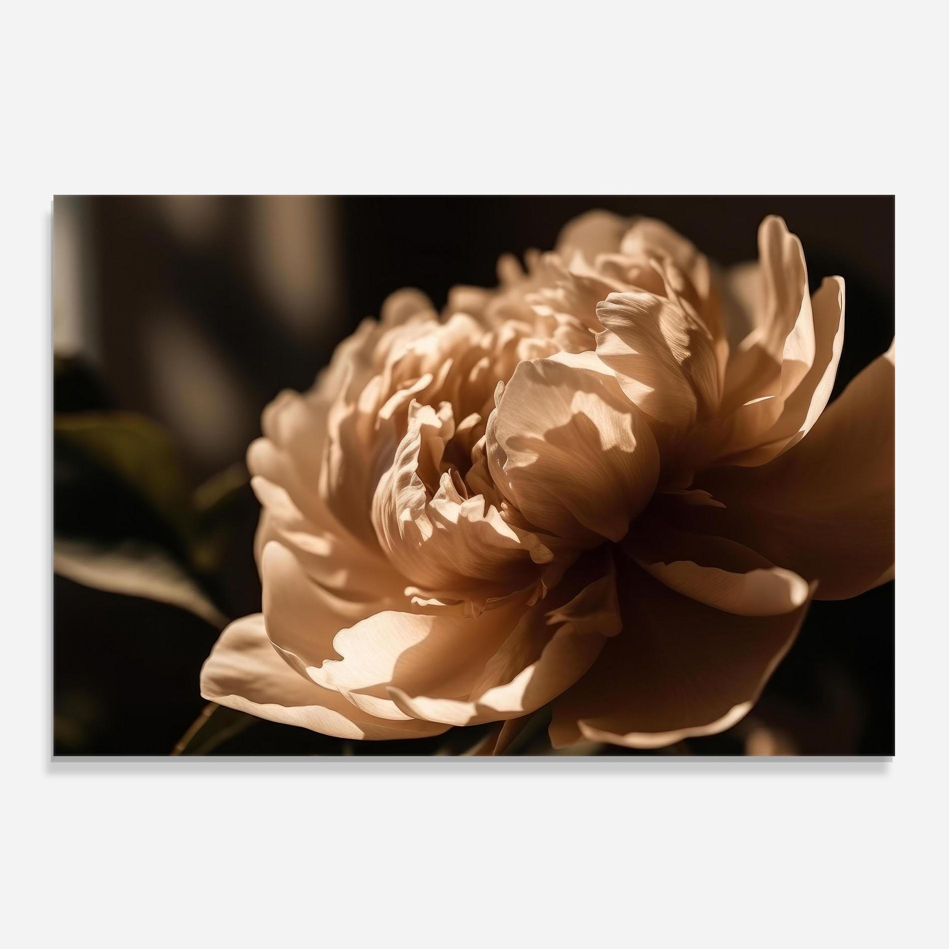 Küchenrückwand Glas Cream Peony mockup 0