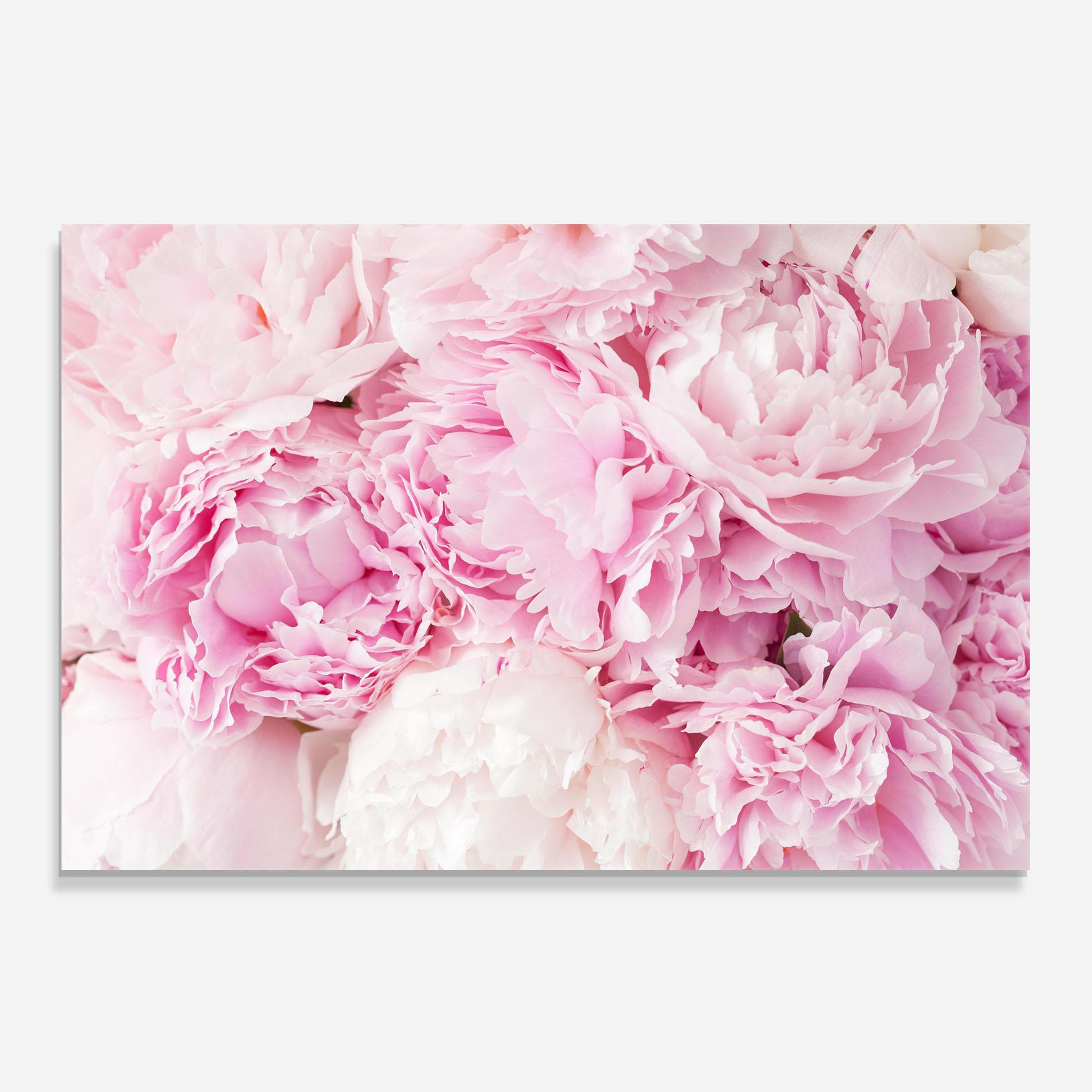 Küchenrückwand Glas Dreamy Pink Pastel Peony mockup 0
