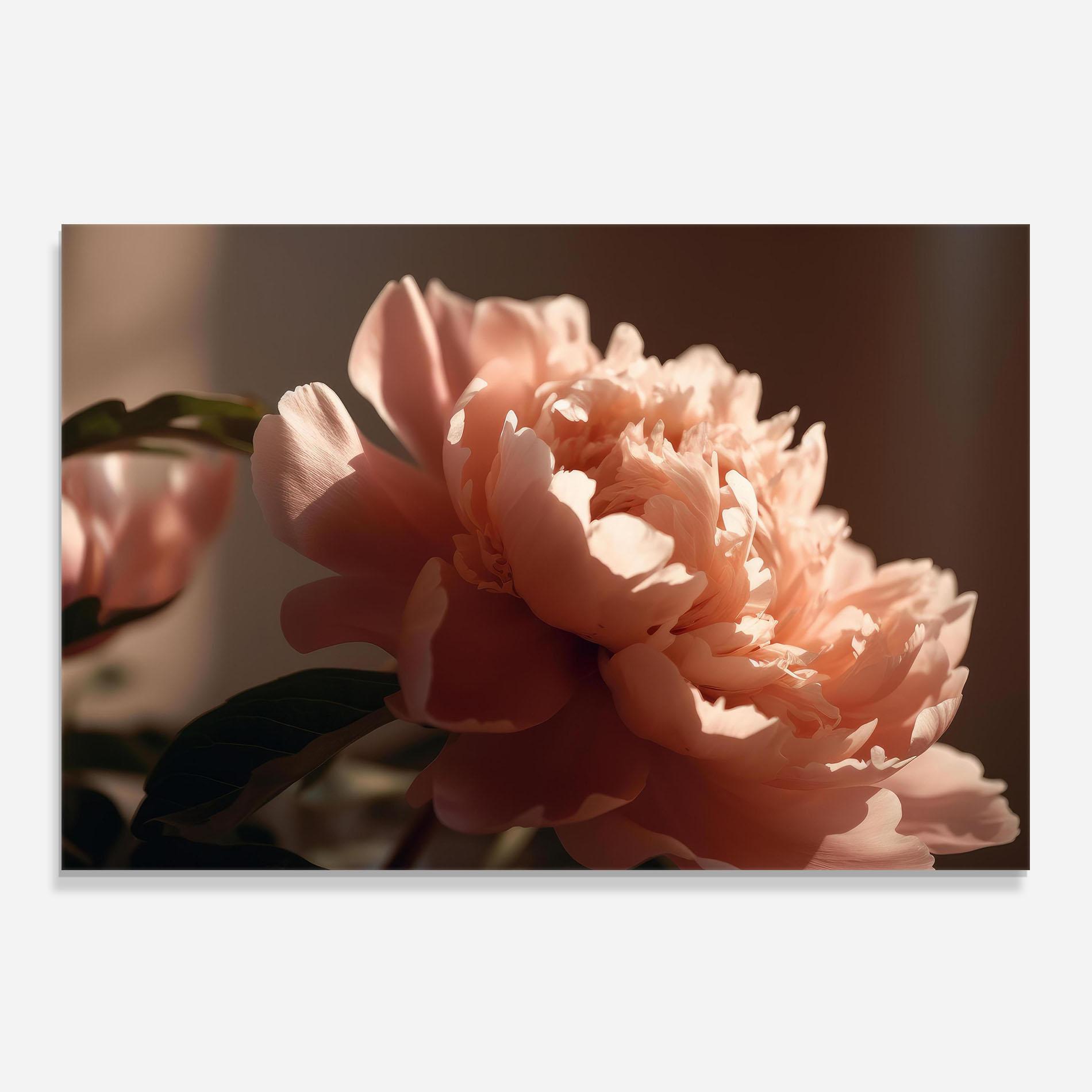 Küchenrückwand Glas Light Orange Peony View mockup 0