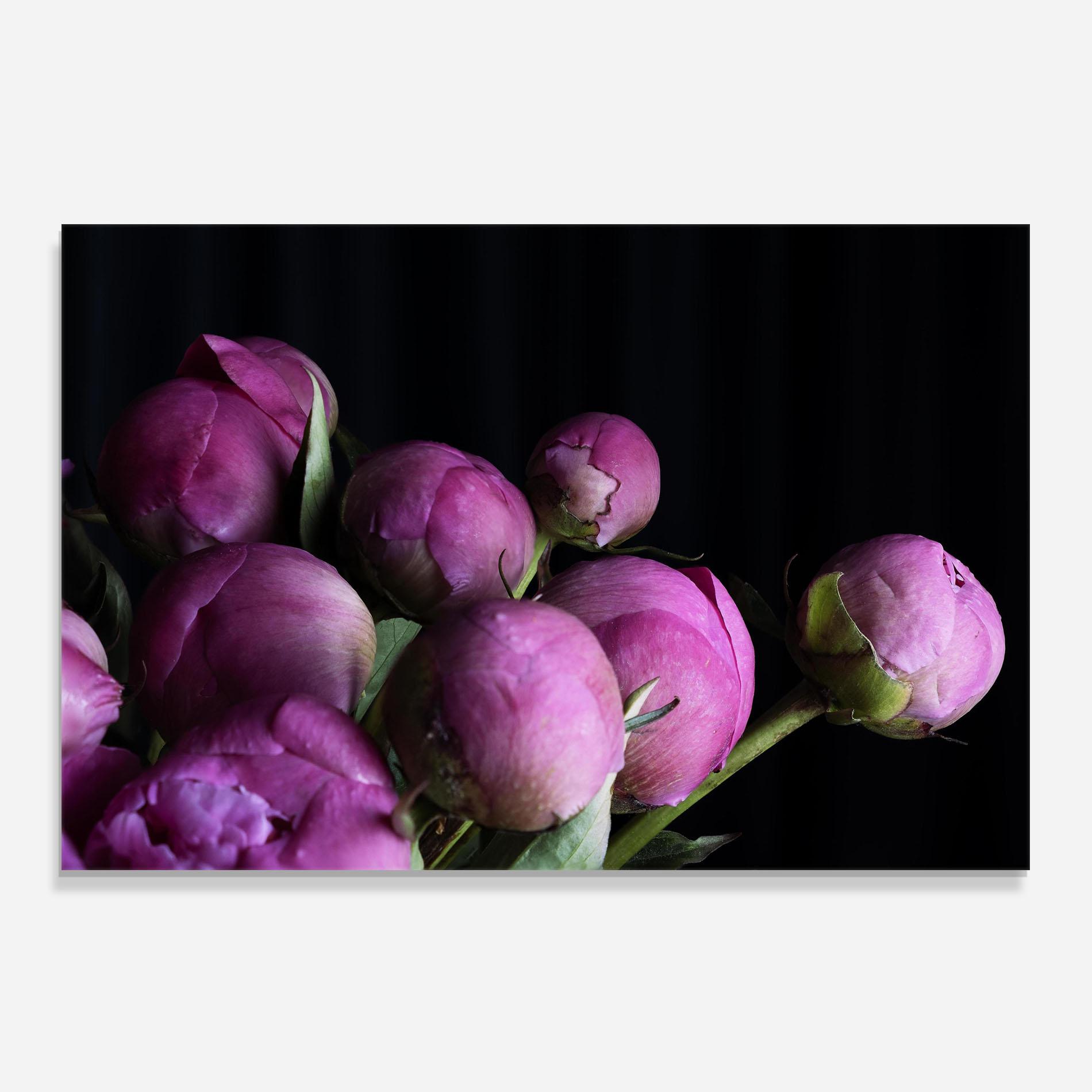Küchenrückwand Glas Peony Buds mockup 0