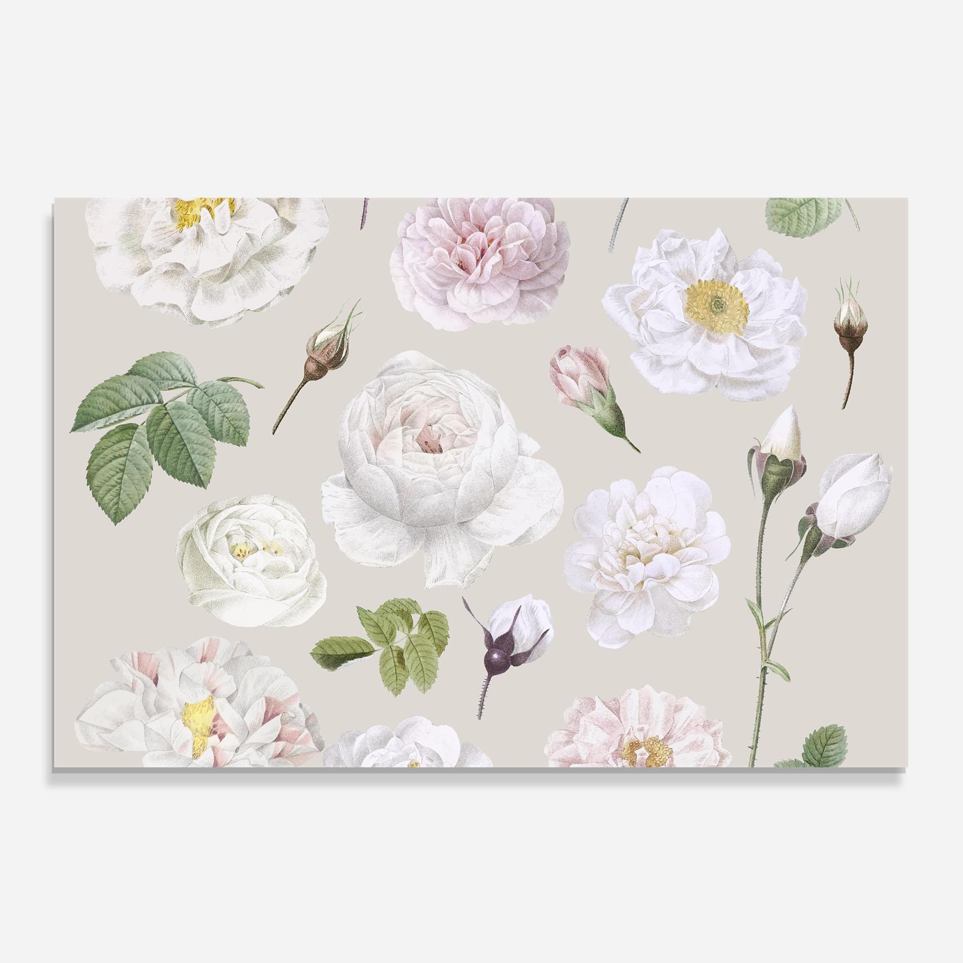 Küchenrückwand Glas White Peony On Cream mockup 0