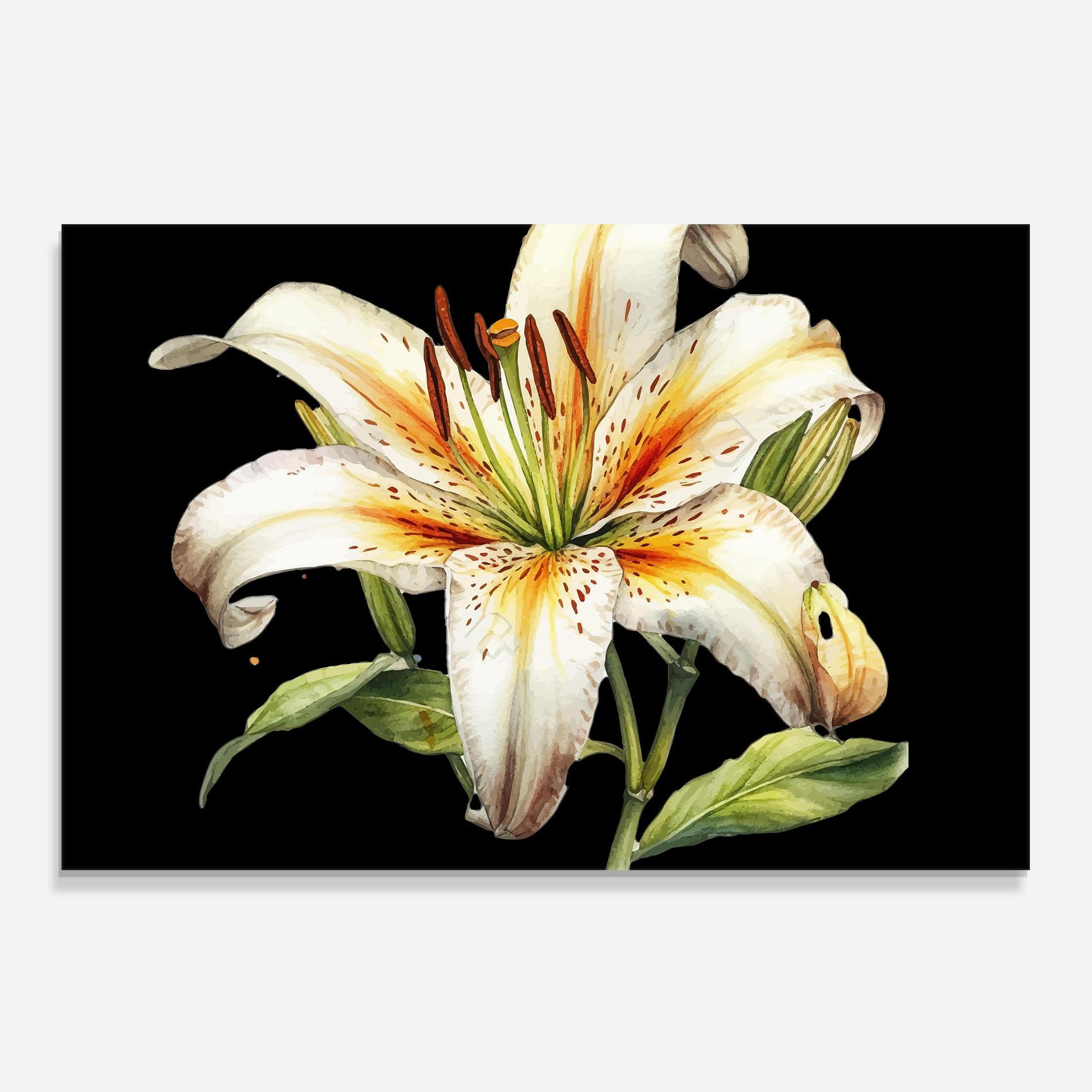Küchenrückwand Glas Beautiful White Lily mockup 0