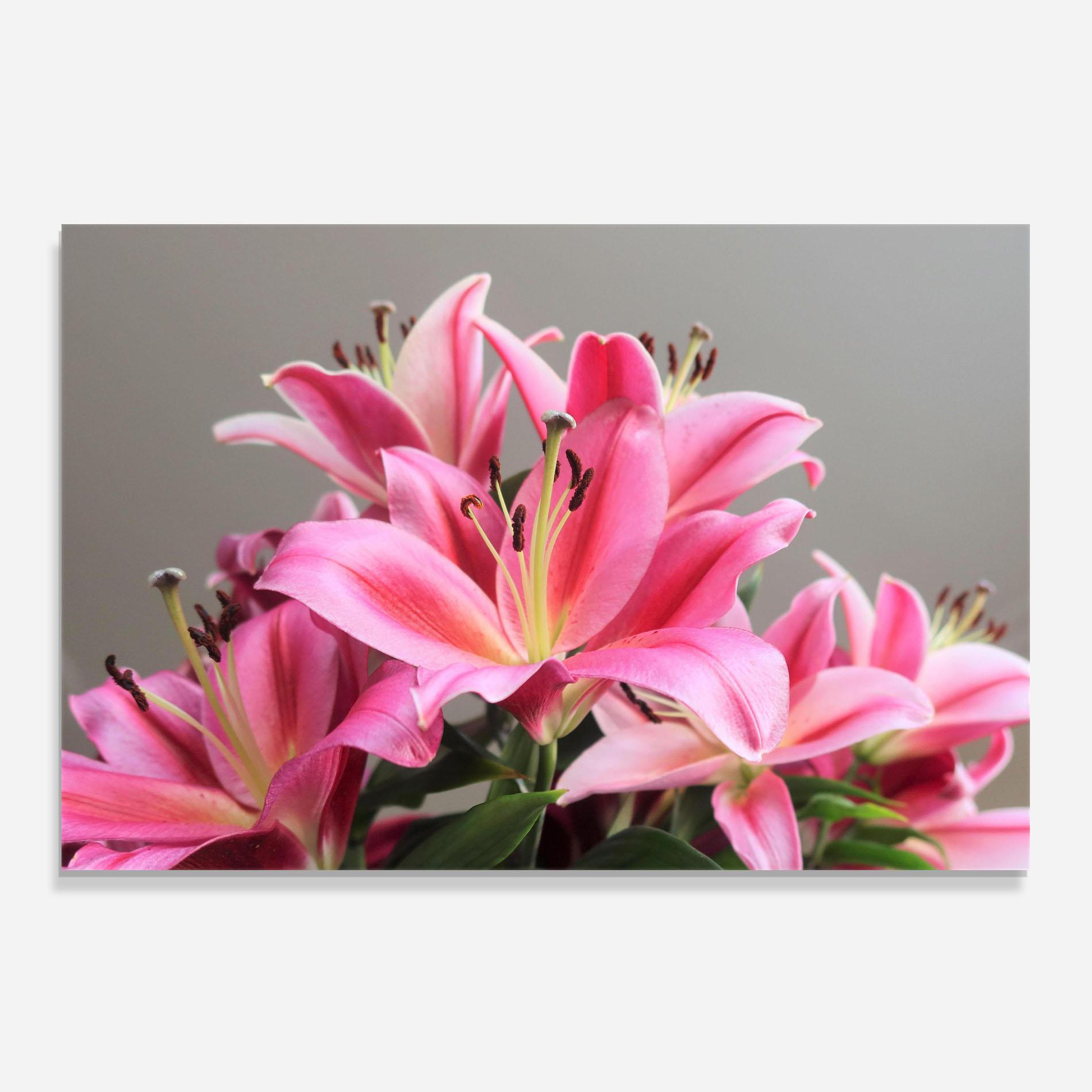 Küchenrückwand Glas Light Pink Lily View mockup 0