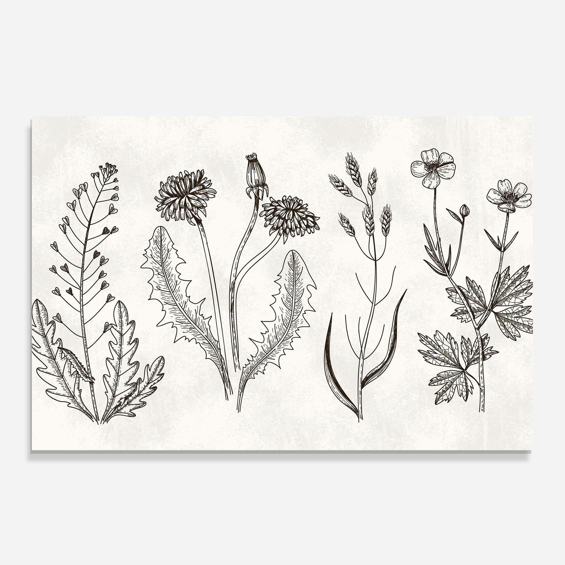 Küchenrückwand Glas Black Line White mockup 0