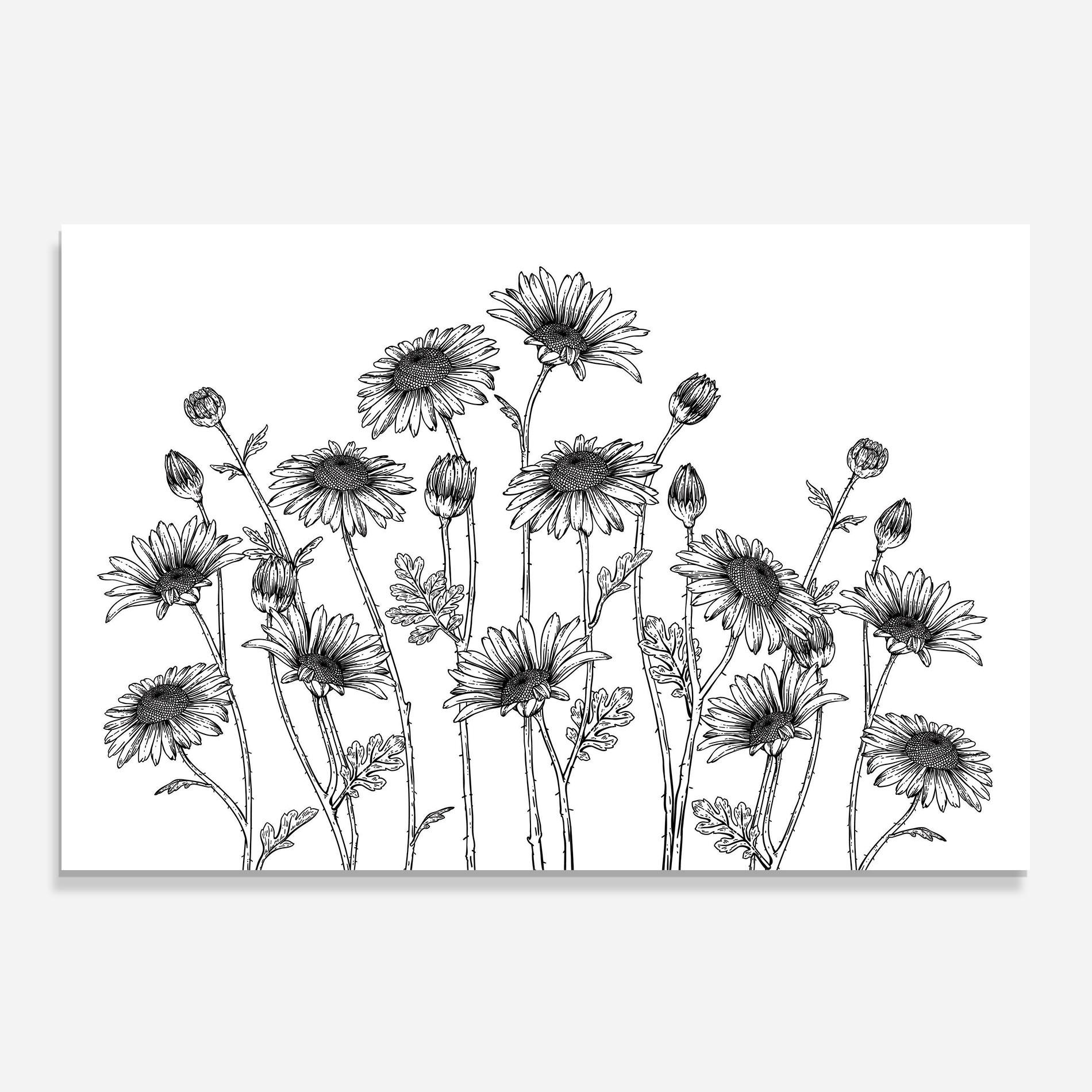 Küchenrückwand Glas Daisy Black Line mockup 0