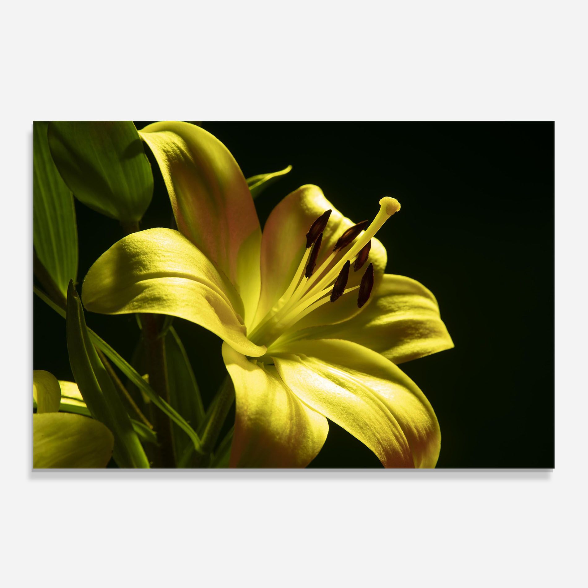 Yellow Gold Exotic mockup 0