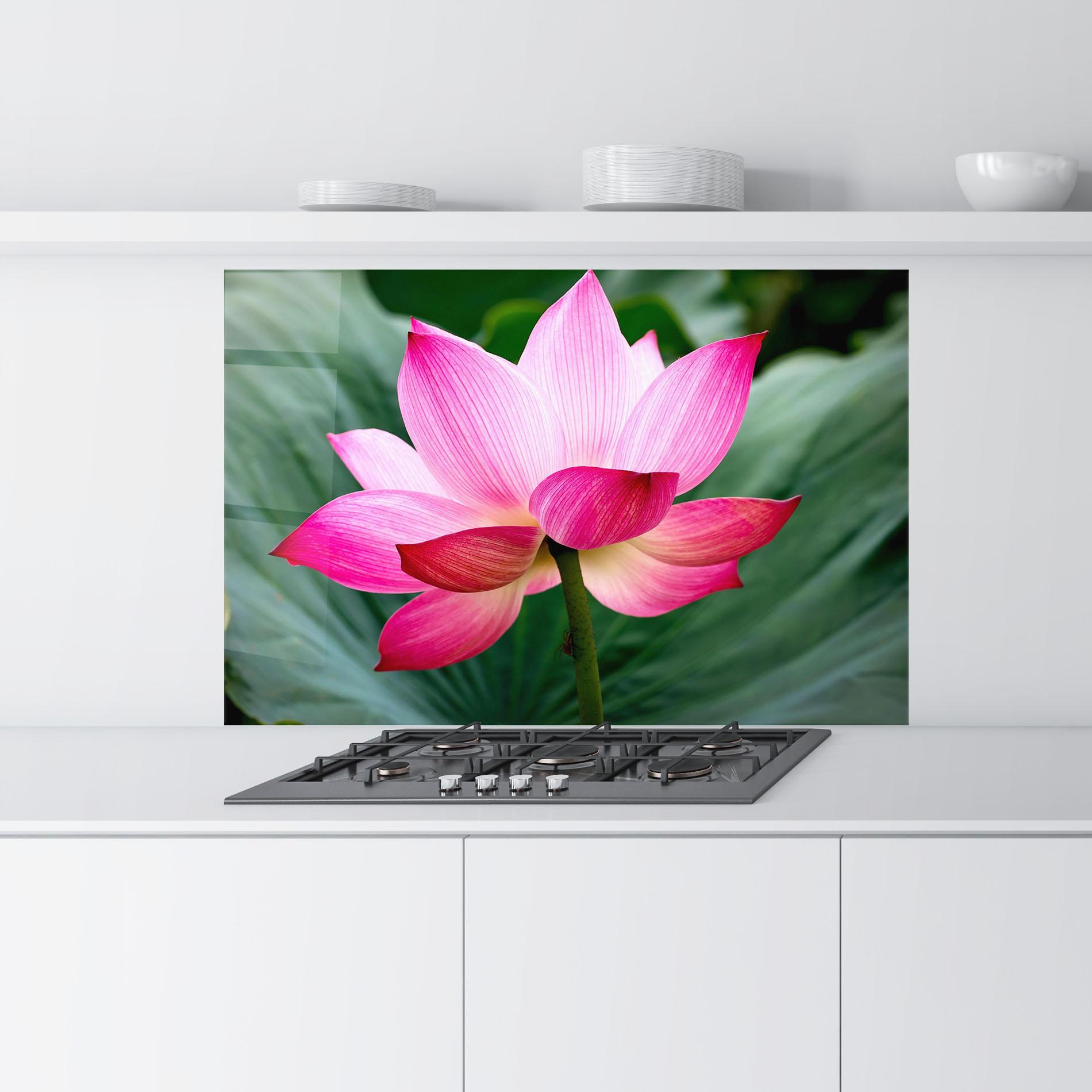 Küchenrückwand Glas Beautiful Pink Exotic mockup 9