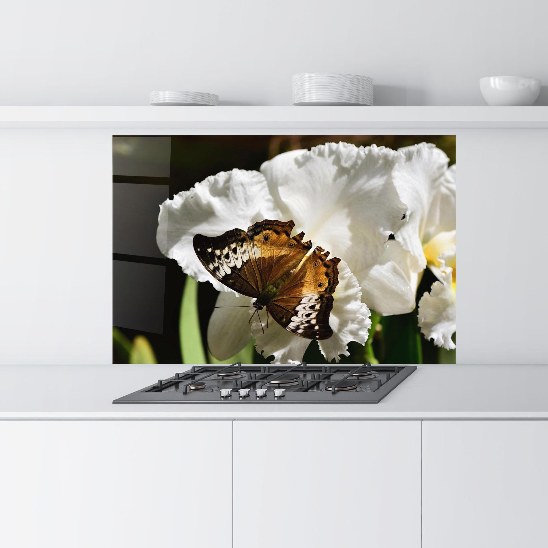 Küchenrückwand Glas Butterfly Exotic Plant mockup 9