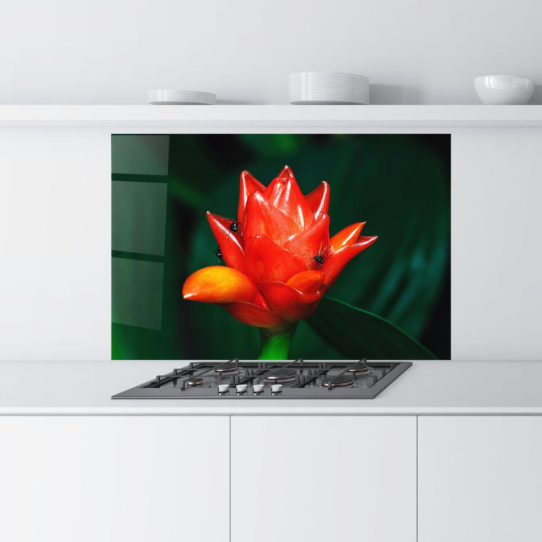 Küchenrückwand Glas Cool Orange Exotic mockup 9